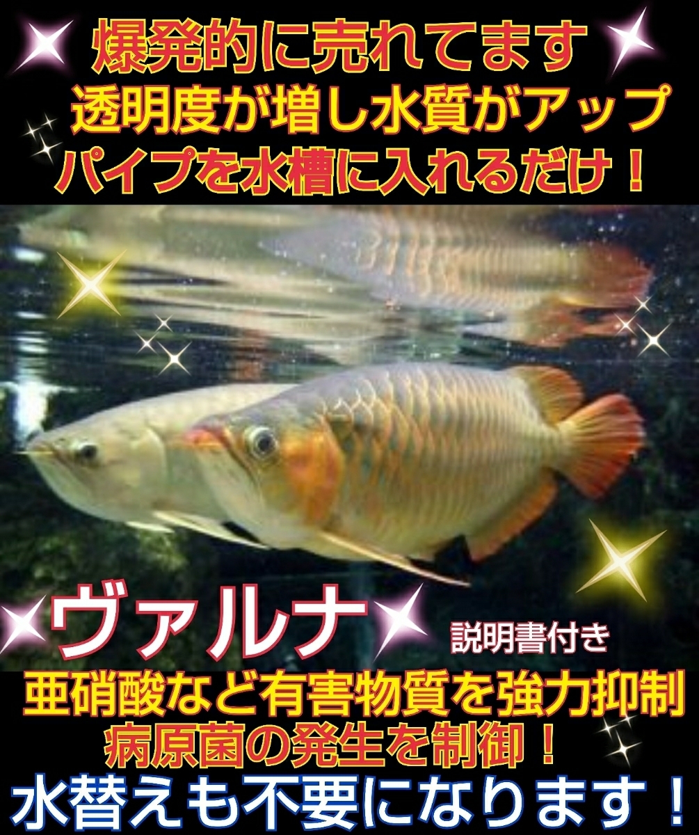 池の水が綺麗になります☆【ヴァルナ☆養殖池用】高波動により自然由来の作用で透明度が増します☆池に入れるだけ！錦鯉の抵抗力もアップ☆