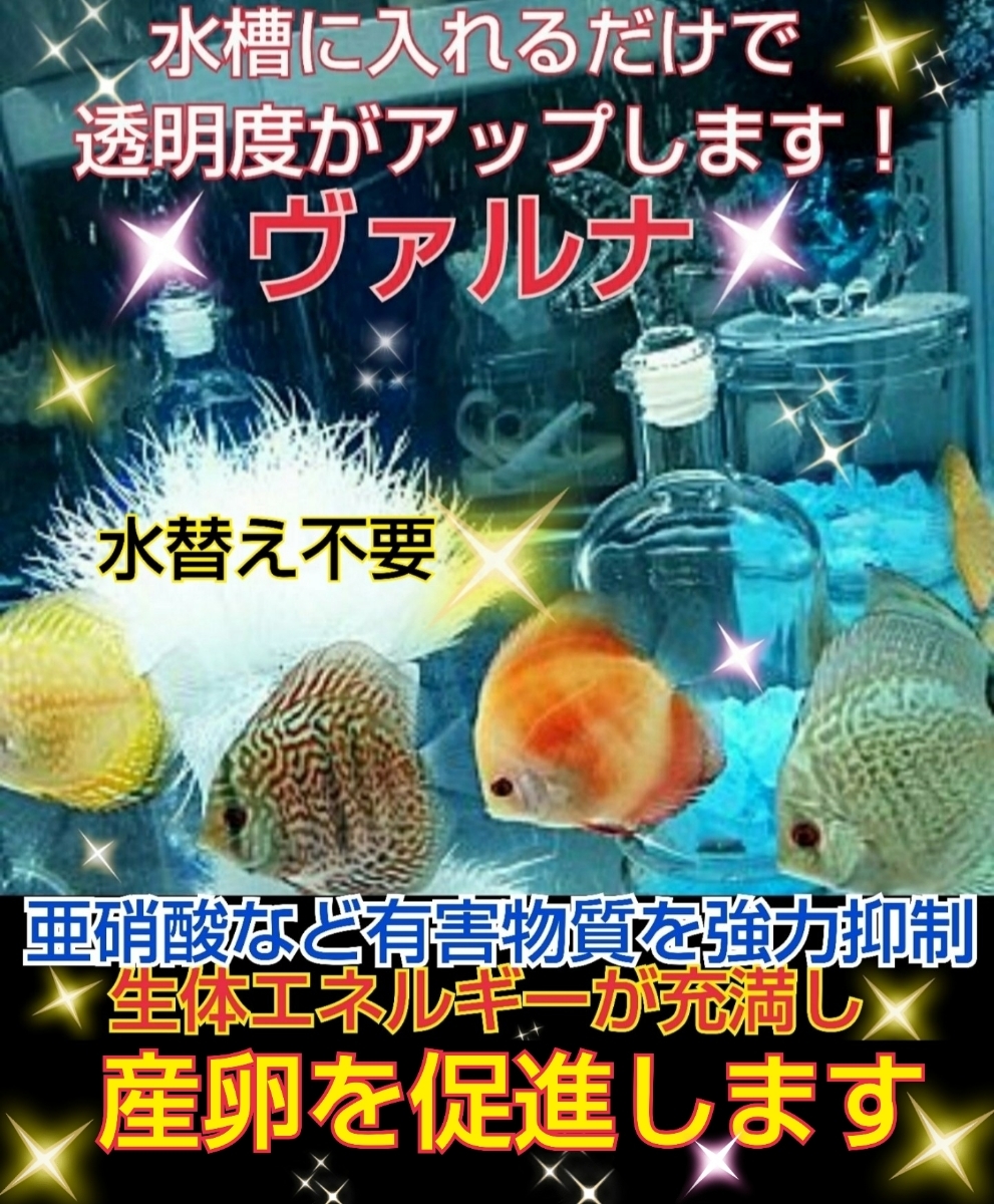 アオコの対策に！正規販売店☆説明書付！池の水が綺麗に【ヴァルナ☆養殖池用】透明度がアップし病原菌や感染症を強力抑制☆錦鯉が活性化 _ディスカスの飼育者にも大人気！