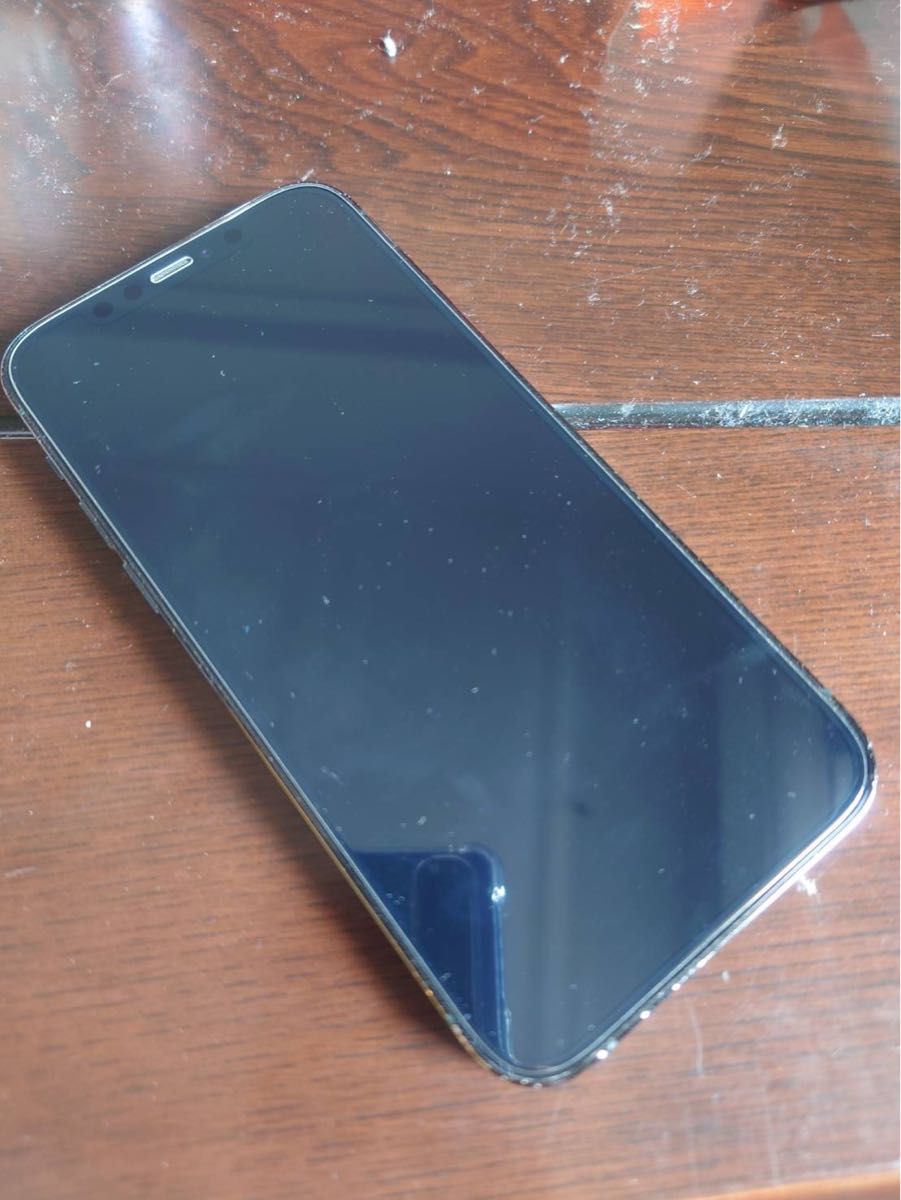 iPhone12 pro 256gb 海外版 SIMフリー シャッター無音 iPhone12 pro 256gb 海外版 SIMフリー シャッター無音