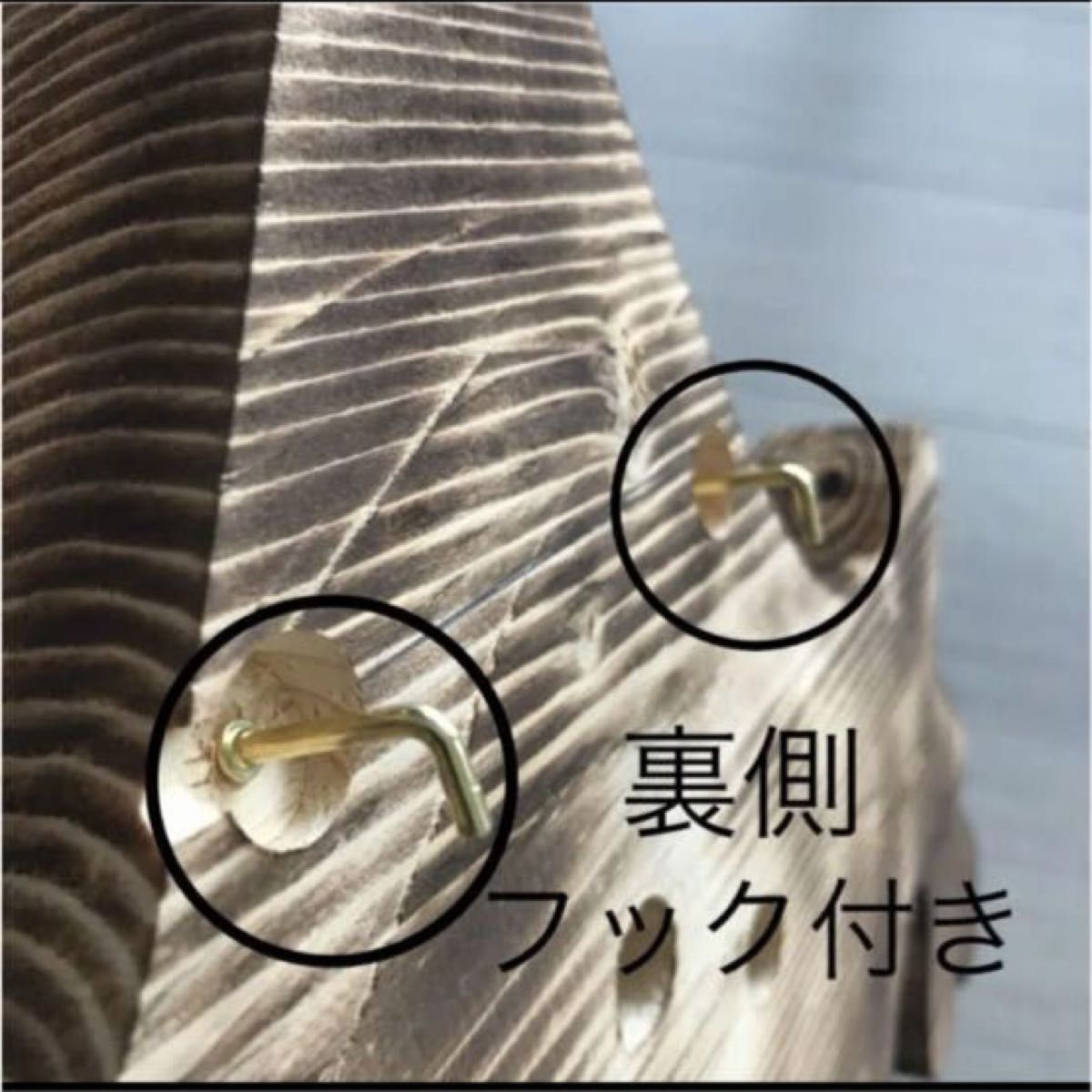 北海道 エゾシカ 鹿の角 トロフィー 台座付き オブジェ 北海道 エゾシカ 鹿の角 トロフィー 台座付き オブジェ