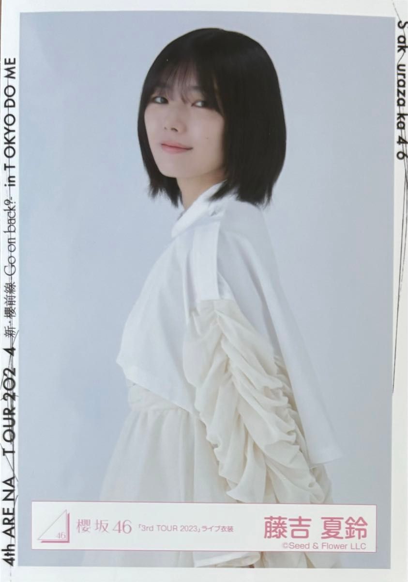 櫻坂46 3rdyearanniversary Live 衣装 藤吉夏鈴サイン 櫻坂46 藤吉夏鈴 3rdアニバーサリーライブサンタ衣装直筆サイン