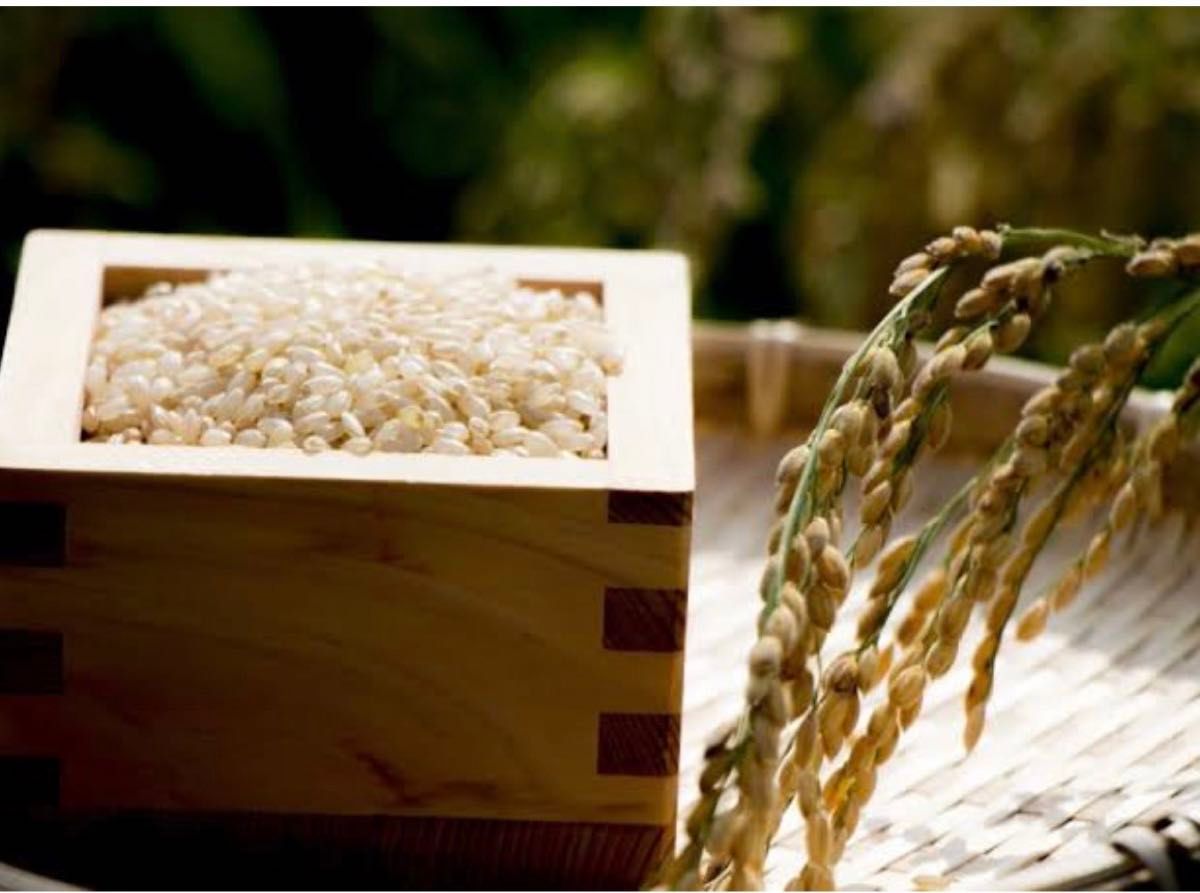お米　玄米【産地限定！特別栽培米江刺産玄米ひとめぼれ30kg】減農薬栽培米！身体に優しいお米です♪