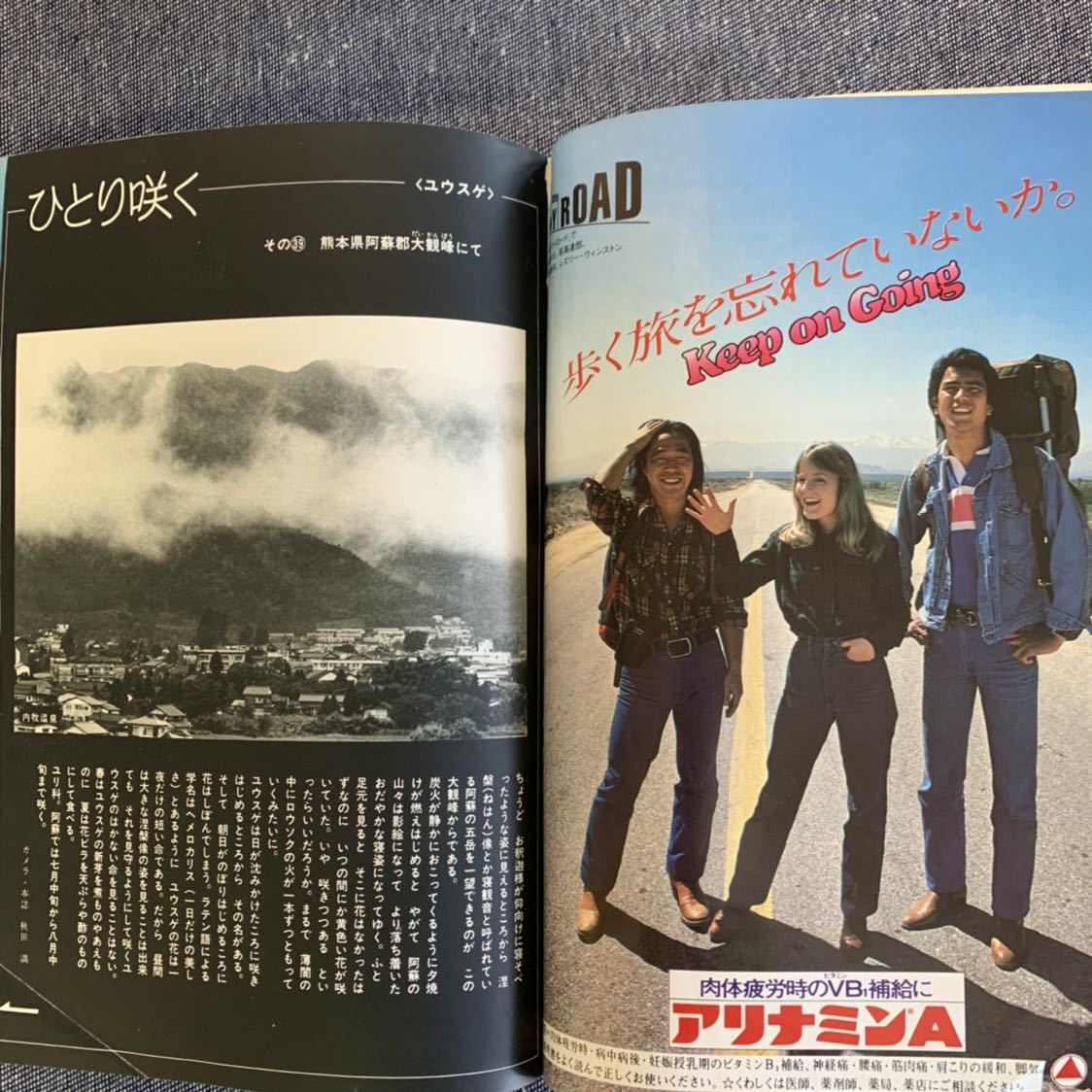 週刊新潮 1980年10月2日号 山本夏彦 山田風太郎 山崎豊子 巨人軍新人テスト カルメン・マキ ヘルムート・ニュートン 佐伯義勝_画像7