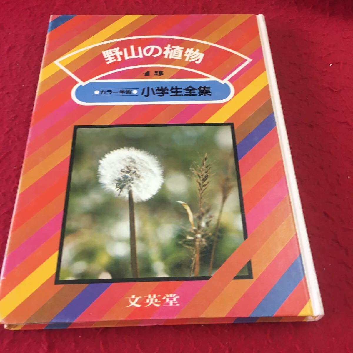 item_image_1