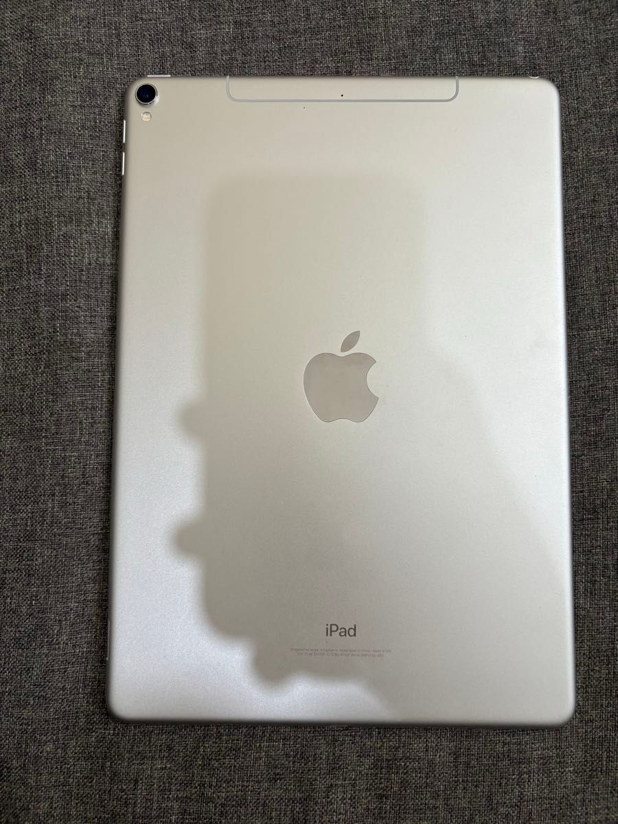 ipad pro 10 5 64GB シルバー セルラー ホワイトスポットあり ipad pro 10 5 64GB シルバー セルラー ホワイトスポットあり