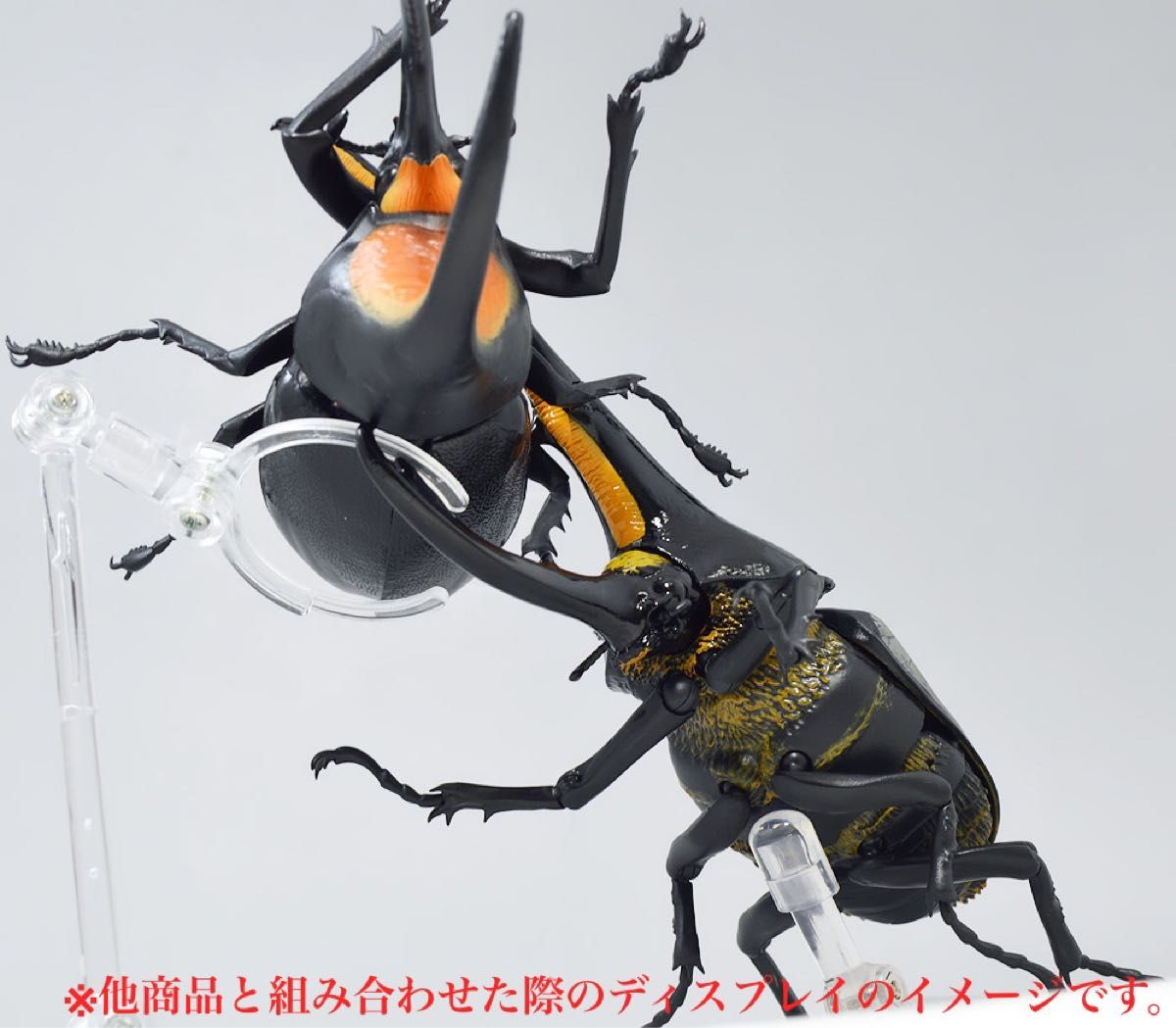 いきもの大図鑑アドバンス ヘラクレス・オオカブト ディスプレイ いきもの大図鑑アドバンス ヘラクレス・オオカブト ディスプレイ