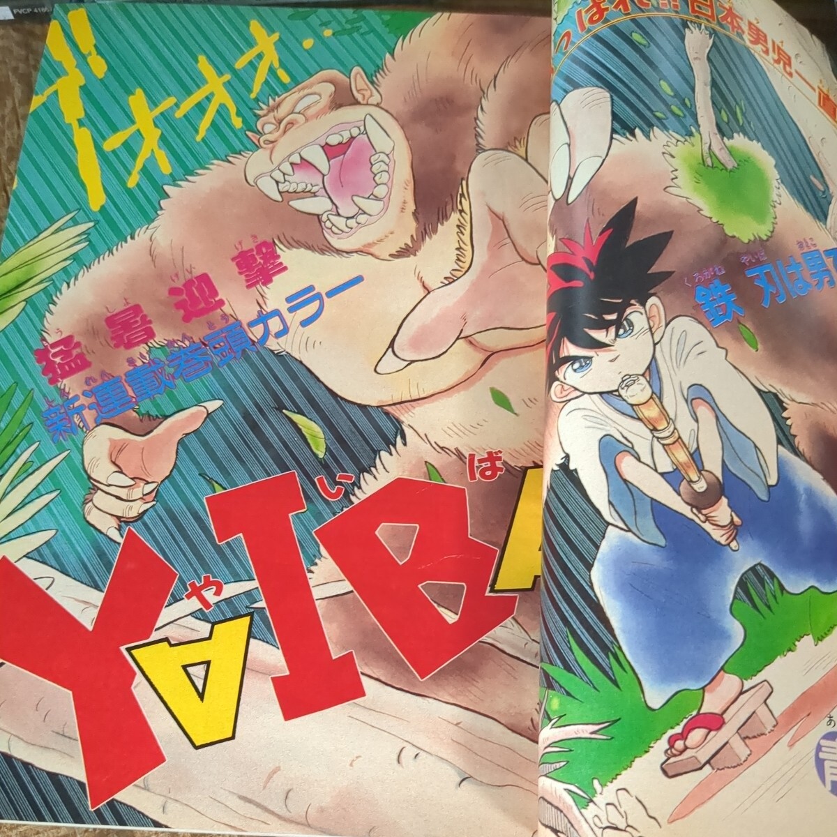 犬夜叉 表紙・巻頭カラー掲載号 週刊少年サンデー1998年12 犬夜叉 表紙・巻頭カラー掲載号 週刊少年サンデー1998年12