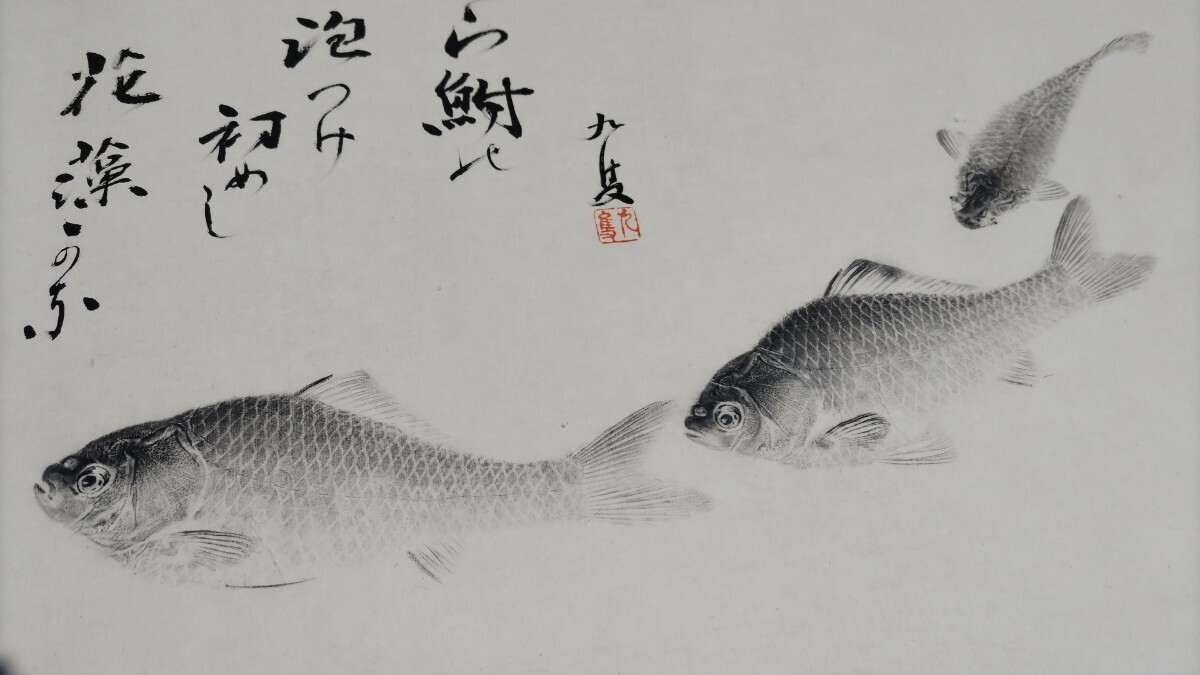 Bibian 比比昂- へらぶなヘラブナ箆鮒魚拓九隻招魚林田招魚 Bibian 比比昂- へらぶなヘラブナ箆鮒魚拓九隻招魚林田招魚