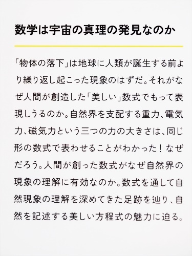 ★送料無料★　『自然現象はなぜ数式で記述できるのか』　志村史夫　新書　★同梱ＯＫ★_画像2