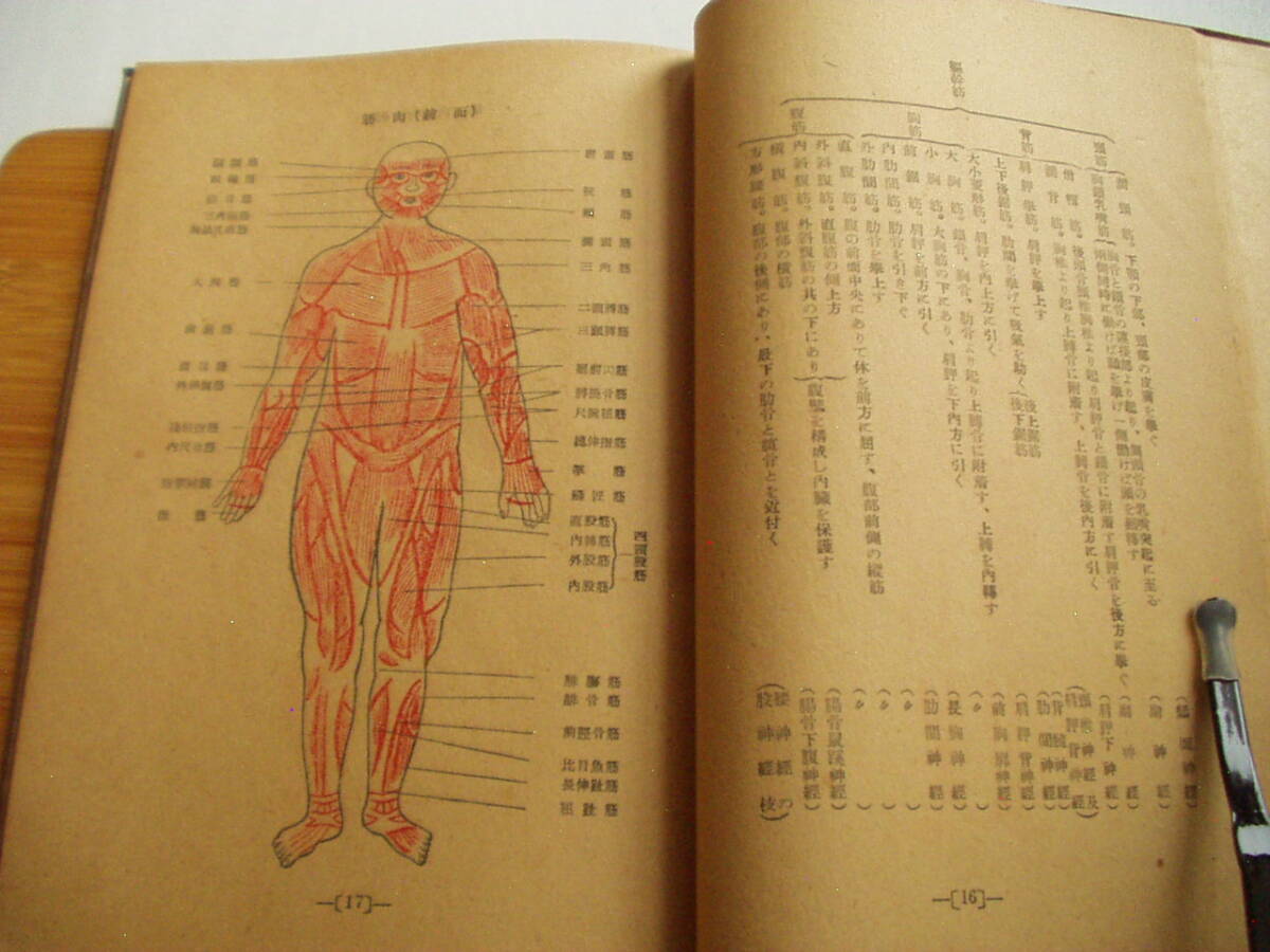 30600円 療術学 真生会長 桑田欣児 真生会出版社 昭和24年 30600円 療術学 真生会長 桑田欣児 真生会出版社 昭和24年