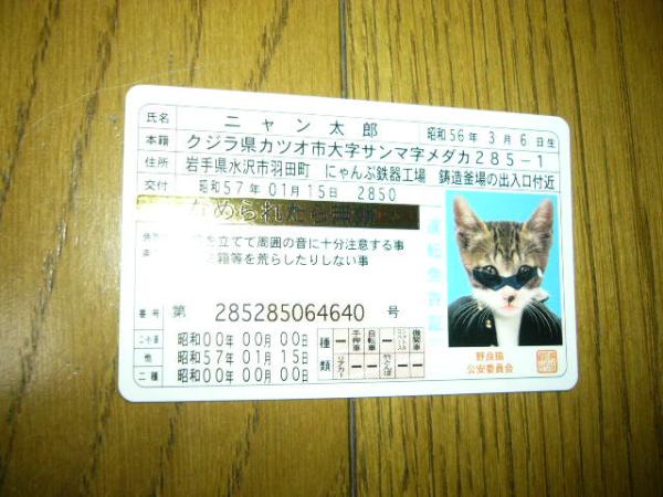 なめ猫.免許証カード.ニャン太郎.ゴールド.制服にサングラス姿 なめ猫.免許証カード.ニャン太郎.ゴールド.制服にサングラス姿