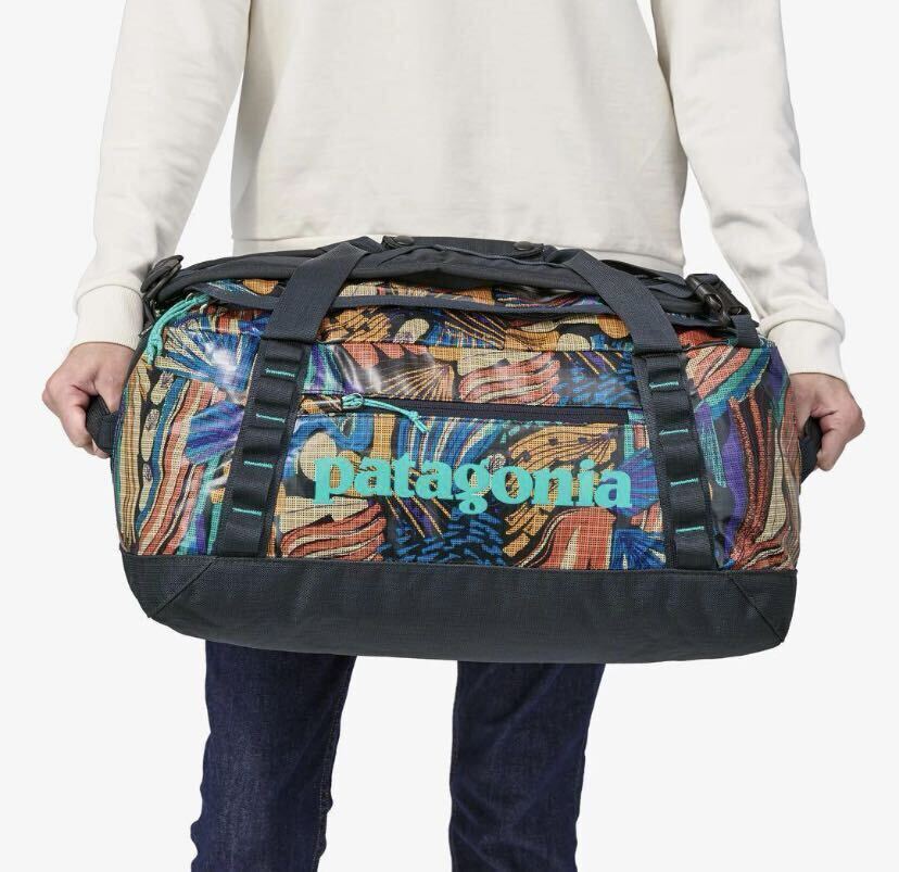 即完売 希少 美品 送料込 Patagonia パタゴニア ブラックホール 即完売 希少 美品 送料込 Patagonia パタゴニア ブラックホール
