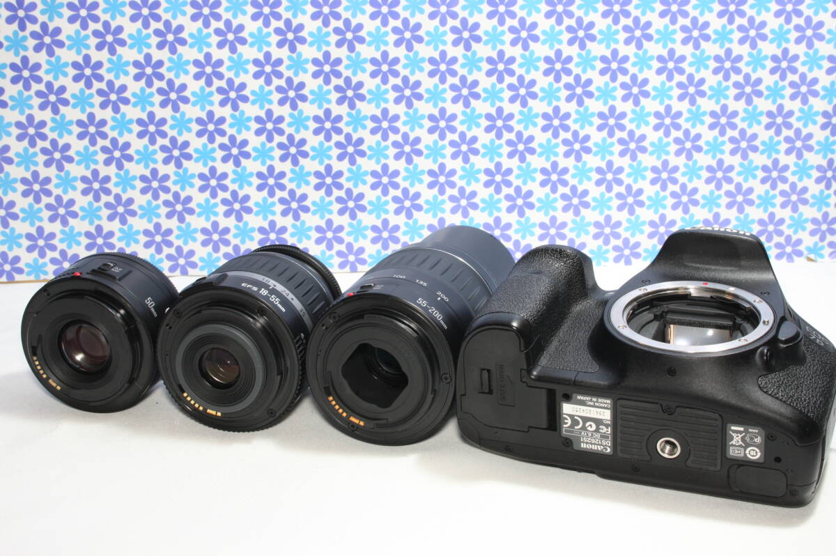 極上美品 キャノン Canon EOS 7D トリプルレンズセット 超高画質 極上美品 キャノン Canon EOS 7D トリプルレンズセット 超高画質