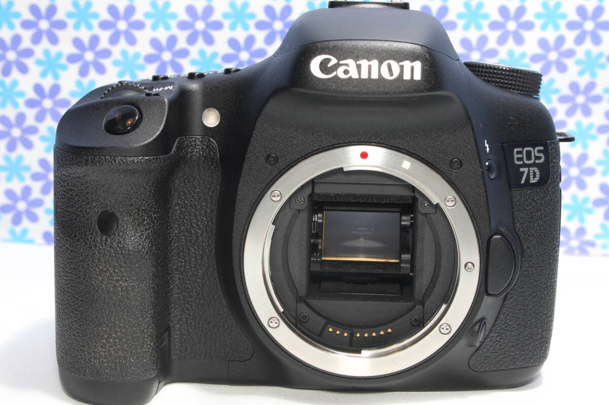 極上美品 キャノン Canon EOS 7D トリプルレンズセット 超高画質 極上美品 キャノン Canon EOS 7D トリプルレンズセット 超高画質