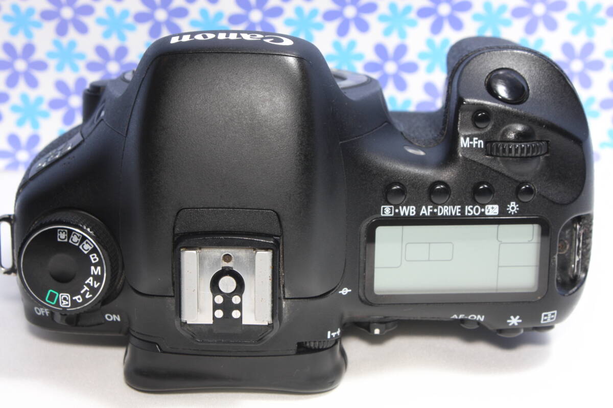 極上美品 キャノン Canon EOS 7D トリプルレンズセット 超高画質 極上美品 キャノン Canon EOS 7D トリプルレンズセット 超高画質