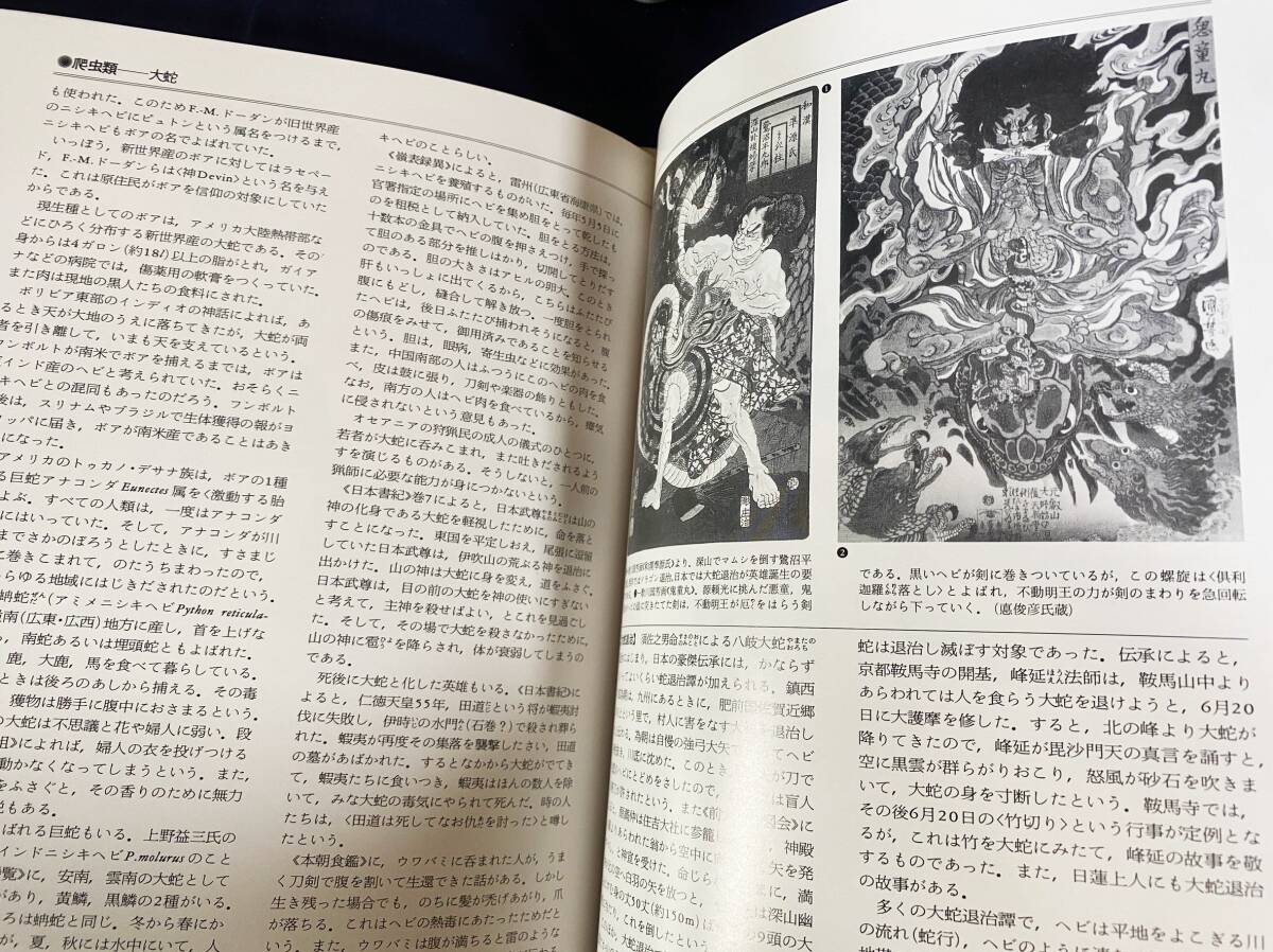 □世界大博物図鑑 本巻全5巻揃 荒俣宏=著 平凡社 ○博物学 生物 □世界大博物図鑑 本巻全5巻揃 荒俣宏=著 平凡社 ○博物学 生物