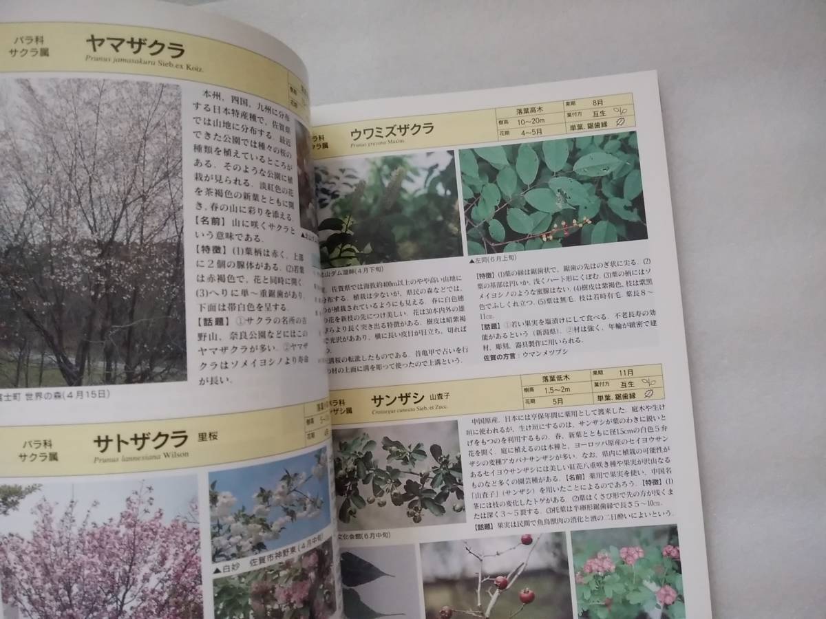 Paypayフリマ 佐賀の街路樹 庭園木 佐賀植物友の会 葉形で便利な検索 500種掲載 中古本 Paypayフリマ 佐賀の街路樹 庭園木 佐賀植物友の会 葉形で便利な検索 500種掲載 中古本