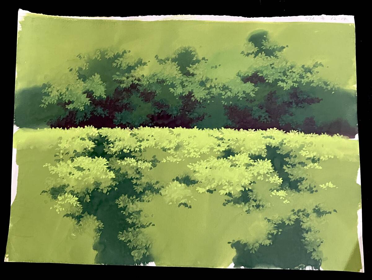 Yahoo!オークション - 森 草むら 背景 作品不明/[Cel Genga Yahoo!オークション - 森 草むら 背景 作品不明/[Cel Genga