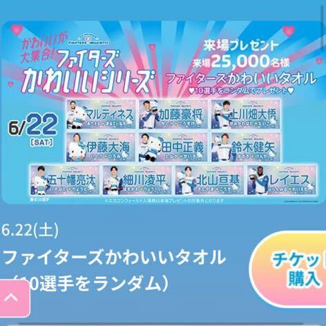 エスコンフィールド 6/22(土) 日ハムVS楽天戦 ダイヤモンド エスコンフィールド 6/22(土) 日ハムVS楽天戦 ダイヤモンド