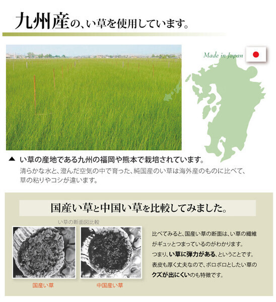 日本製 い草上敷 三六間6畳(273×364cm) 湯沢 ゆざわ 日本製 い草上敷 三六間6畳(273×364cm) 湯沢 ゆざわ