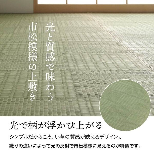 カーペット 純国産 い草 江戸間4.5畳(約261×261cm) 上敷き カーペット 格子柄 グラッセ