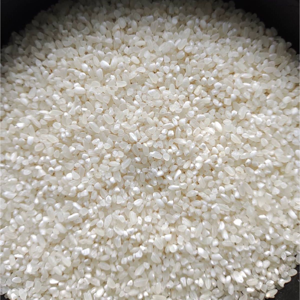 砕米 10kg 令和5年産 国産うるち米の砕け米です 全国送料無料 砕米 10kg 令和5年産 国産うるち米の砕け米です 全国送料無料