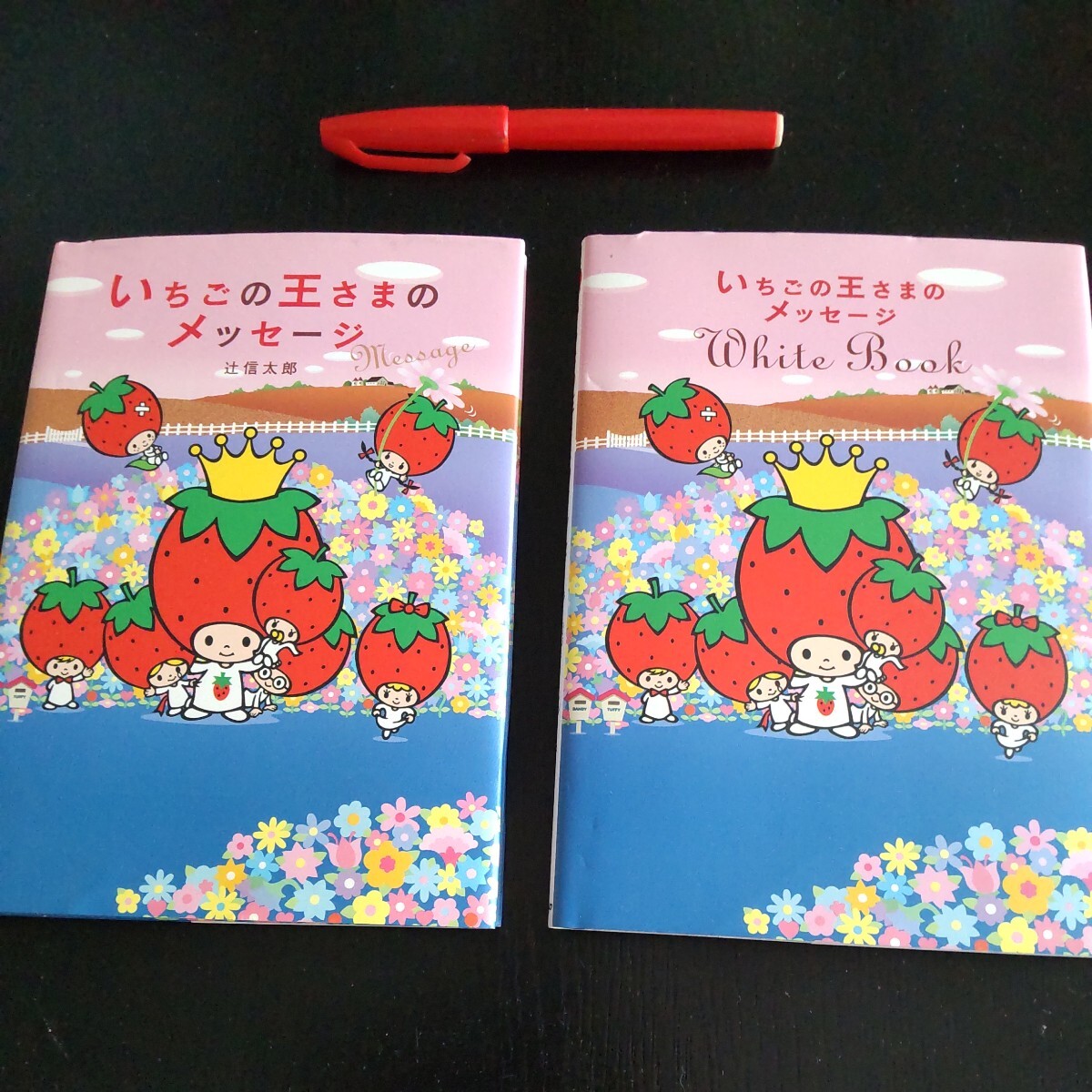 2406 サンリオ いちごの王さまのメッセージ メッセージ集＆ホワイトブック いちご新聞 辻信太郎 2007年 単行本 ２冊