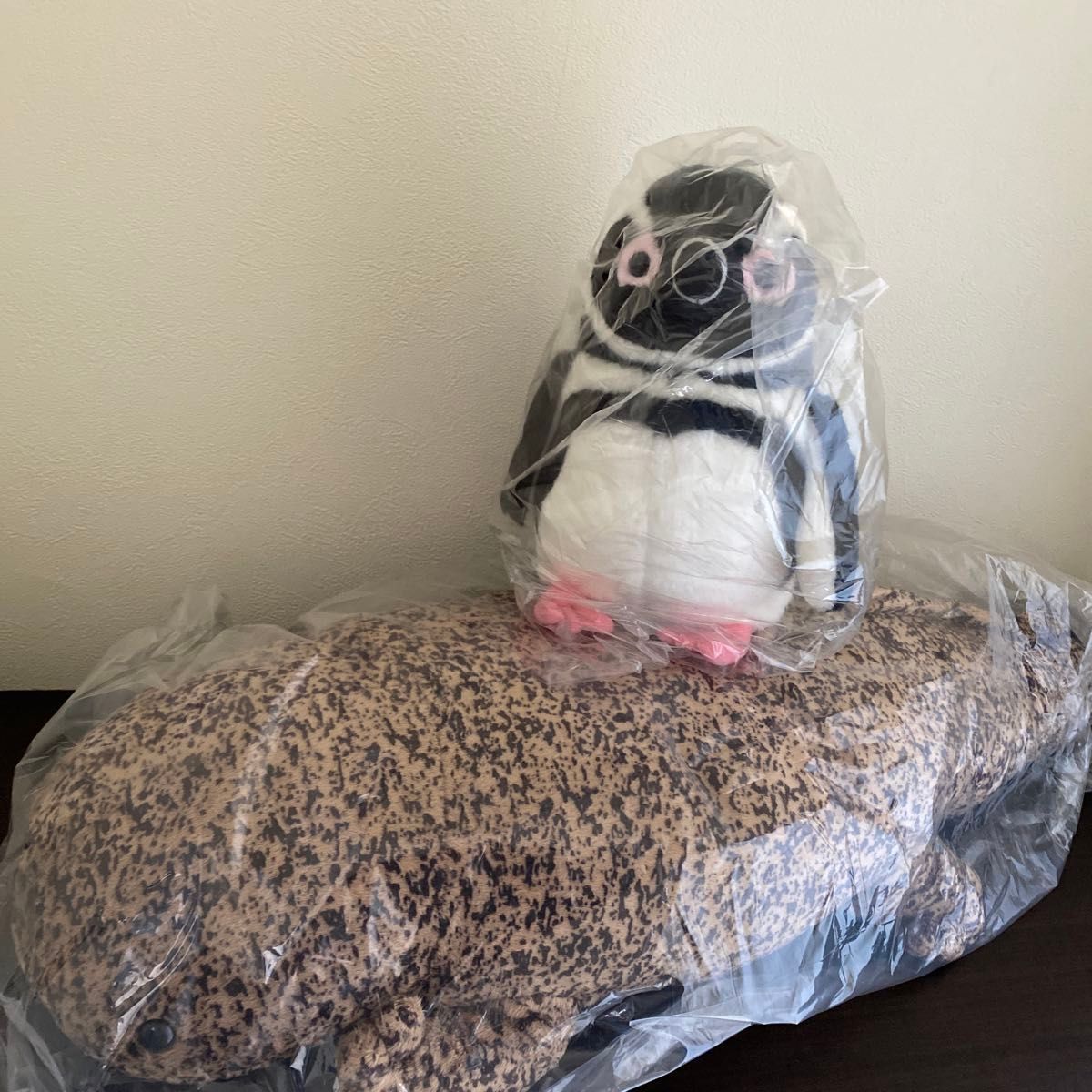 オオサンショウオとペンギンセットぬいぐるみ 京都水族館で＜オオ