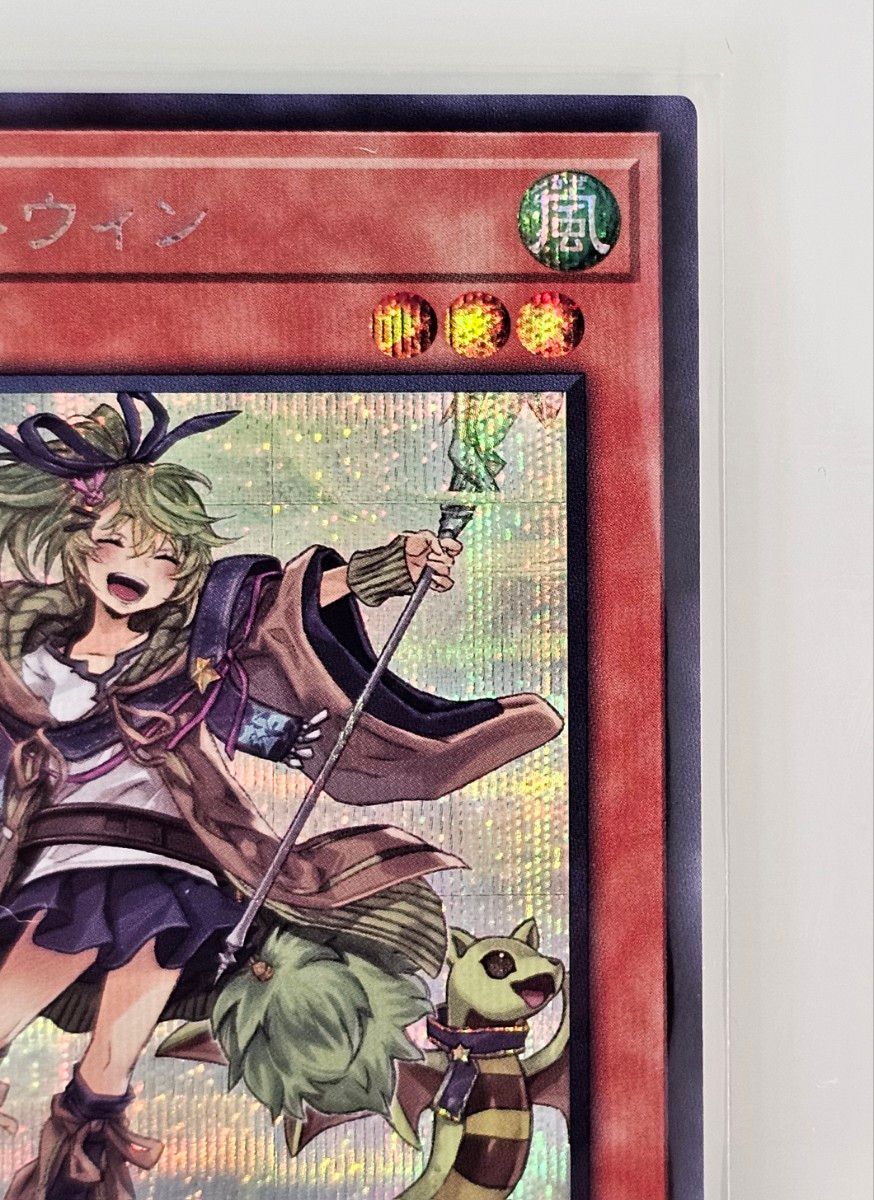 風霊使いウィン シークレット スターチップ 絵違い イラスト違い 風霊使いウィン シークレット スターチップ 絵違い イラスト違い