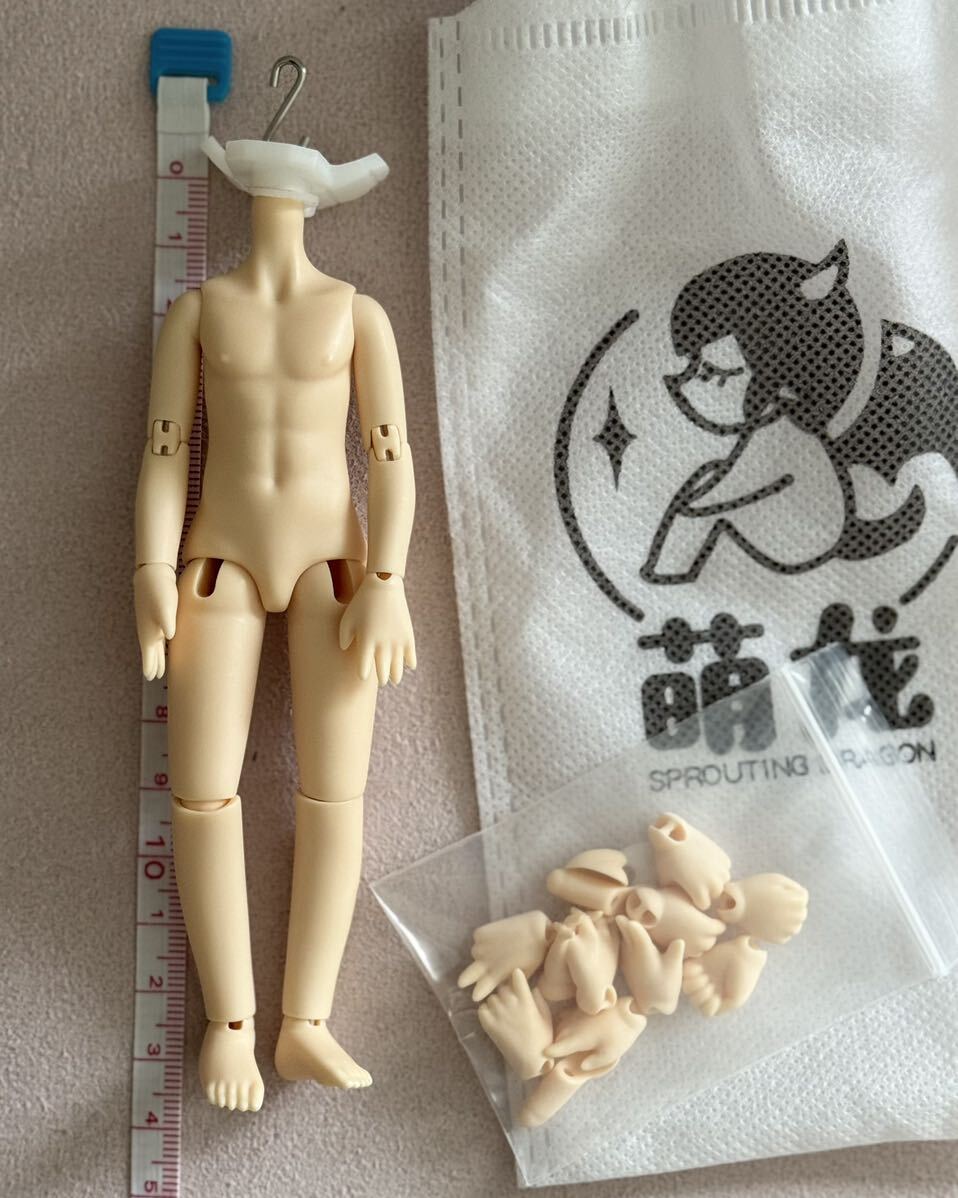 Amazon.co.jp: オビツ 11 ボディ 人形 スーパーホワイティ 色白
