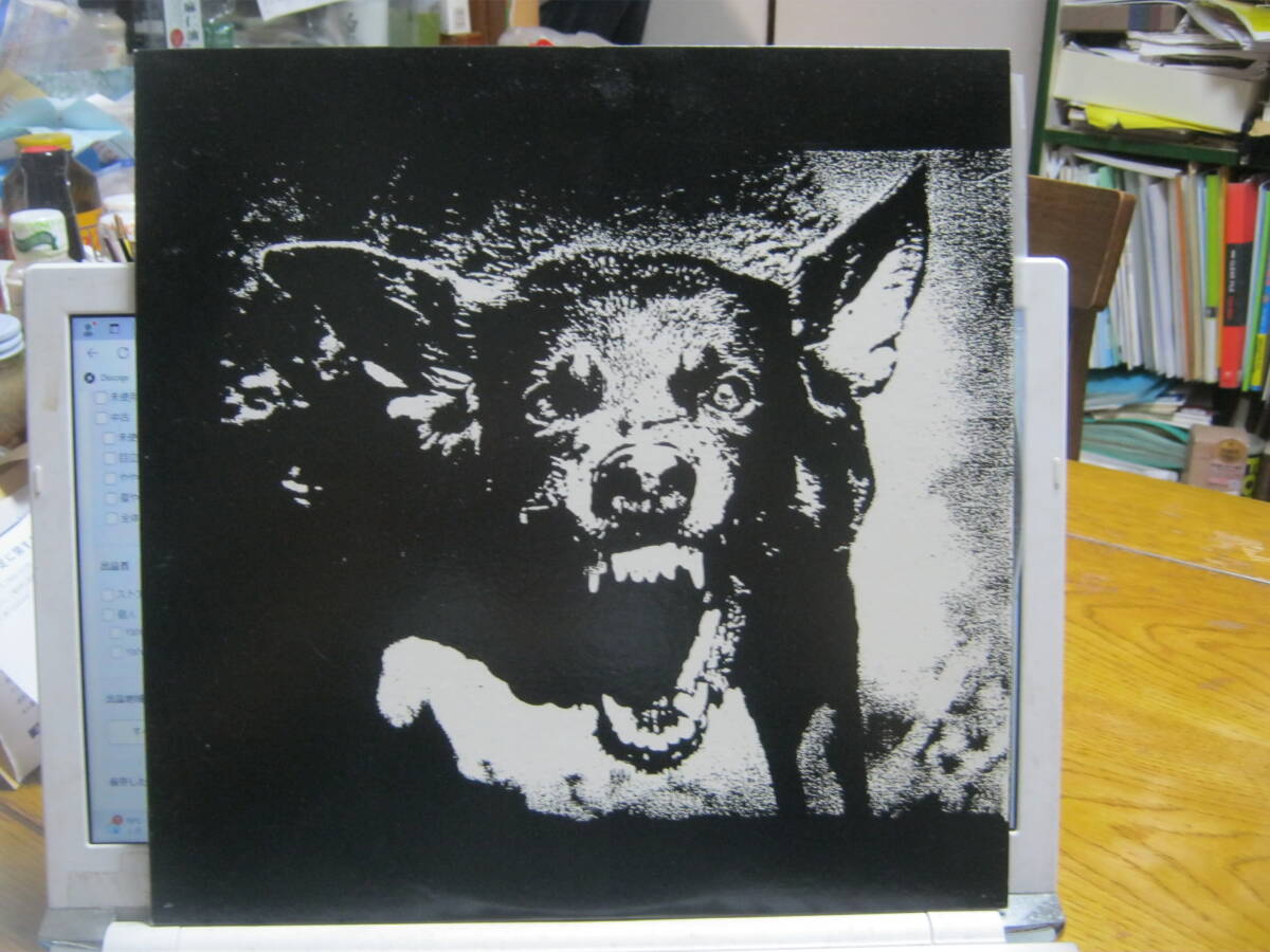 EXECUTE エクスキュート / SAVE YOUR MONEY LP GISM GAUZE COMES EXECUTE エクスキュート / SAVE YOUR MONEY LP GISM GAUZE COMES