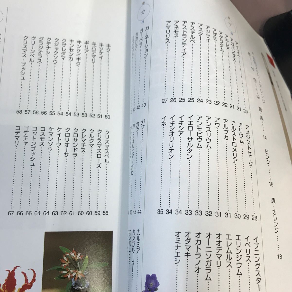 E08-079 最新花屋さんの花図鑑 買いたい花の名前がわかる