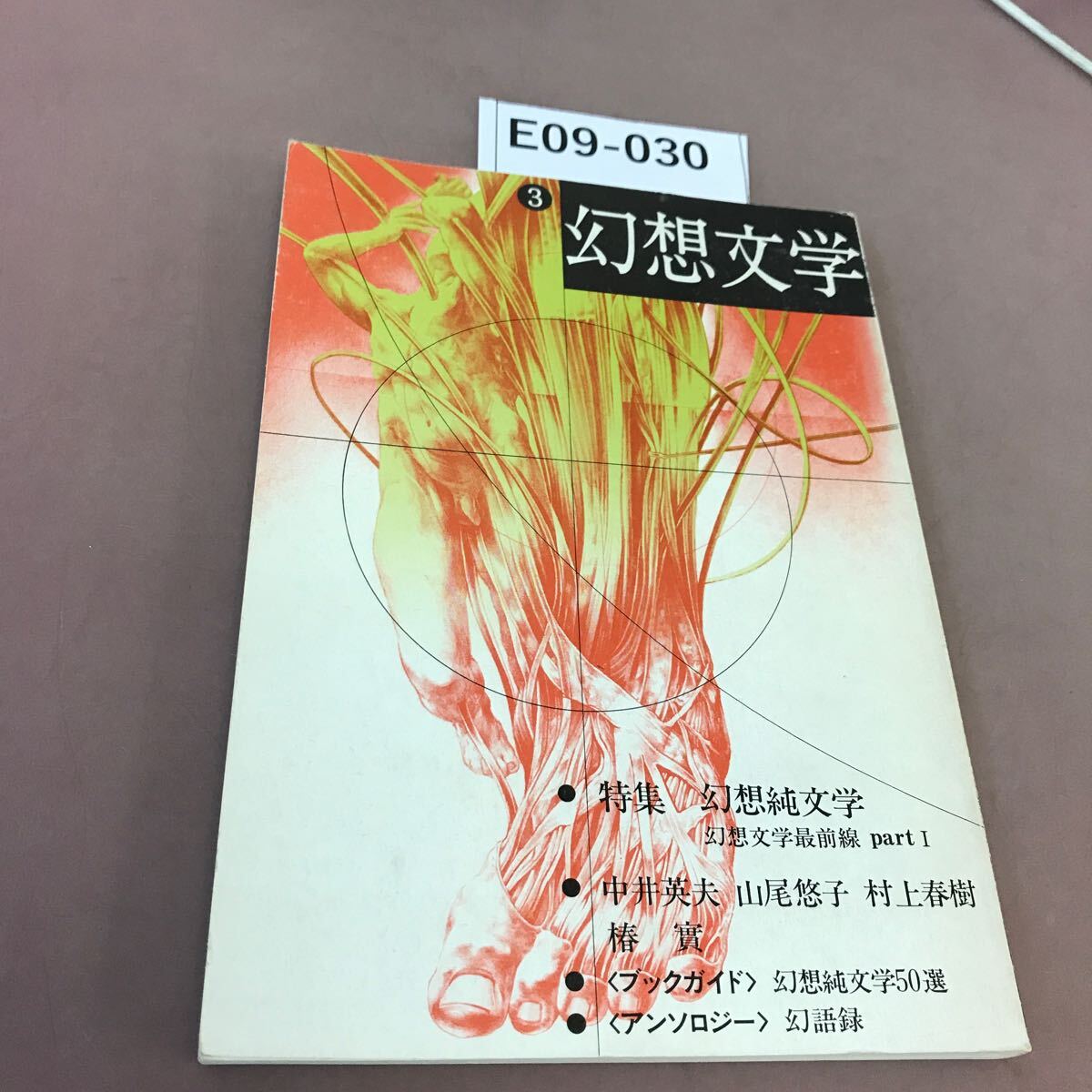 E09-030 幻想文学 特集 幻想純文学 3