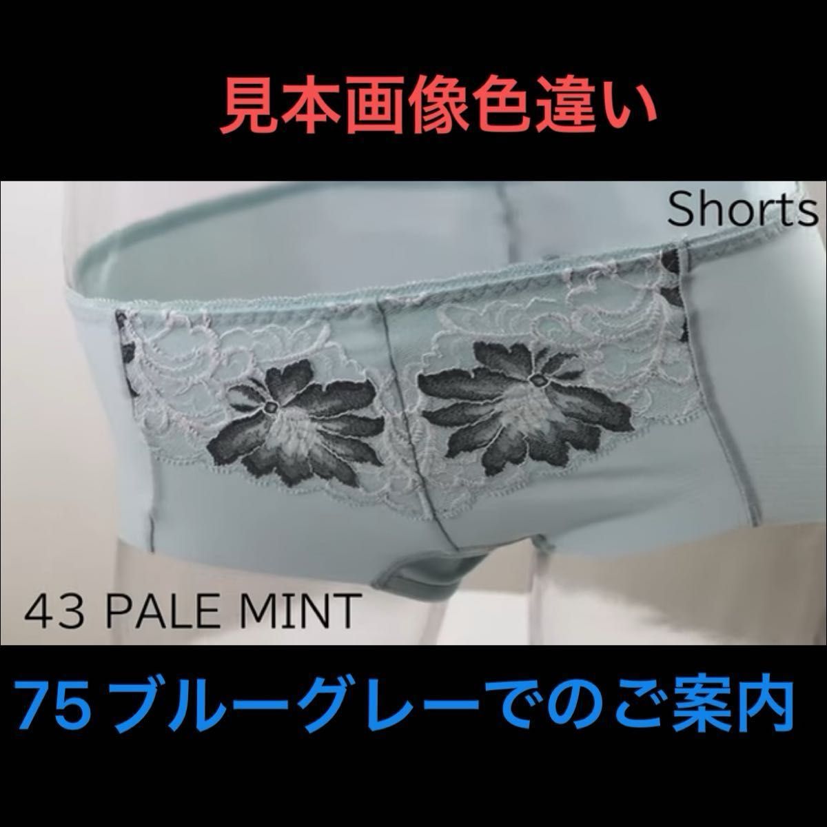 シャルレ パレッティ 先行販売 ヒップハングショーツ M ブルー シャルレ パレッティ 先行販売 ヒップハングショーツ M ブルー