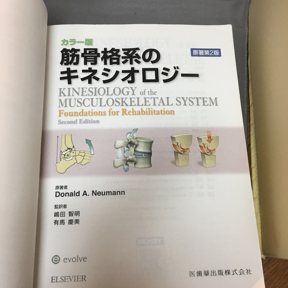 Yahoo!オークション - #中古 カラー版 筋骨格系のキネシオロジー Yahoo!オークション - #中古 カラー版 筋骨格系のキネシオロジー