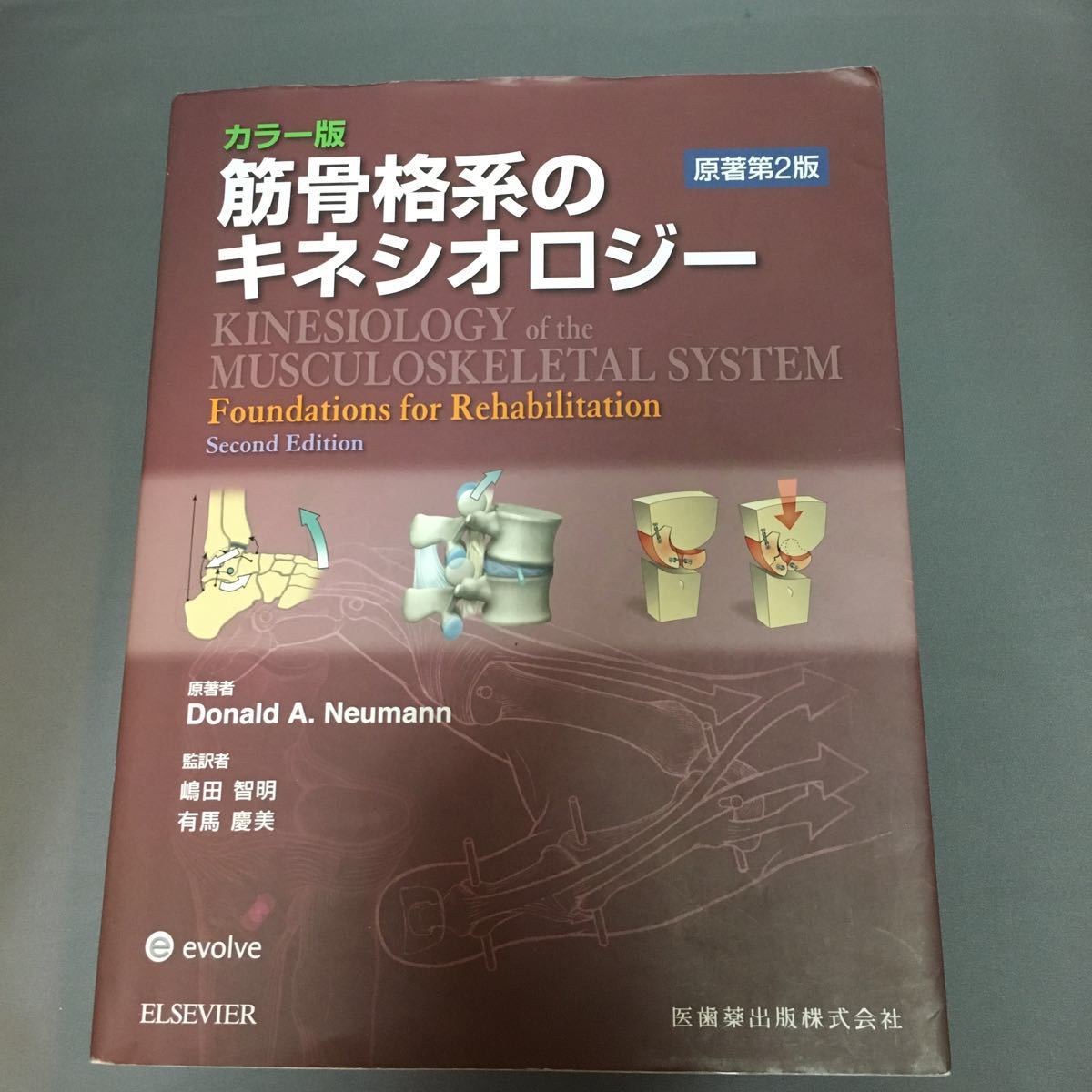 現品限り一斉値下げ！】 #中古 カラー版 筋骨格系の