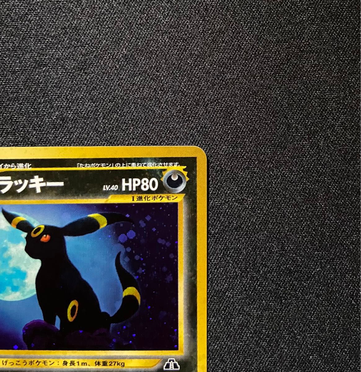 美品-極美品】ポケモンカード ブラッキー No 197 旧裏 遺跡を 美品-極美品】ポケモンカード ブラッキー No 197 旧裏 遺跡を