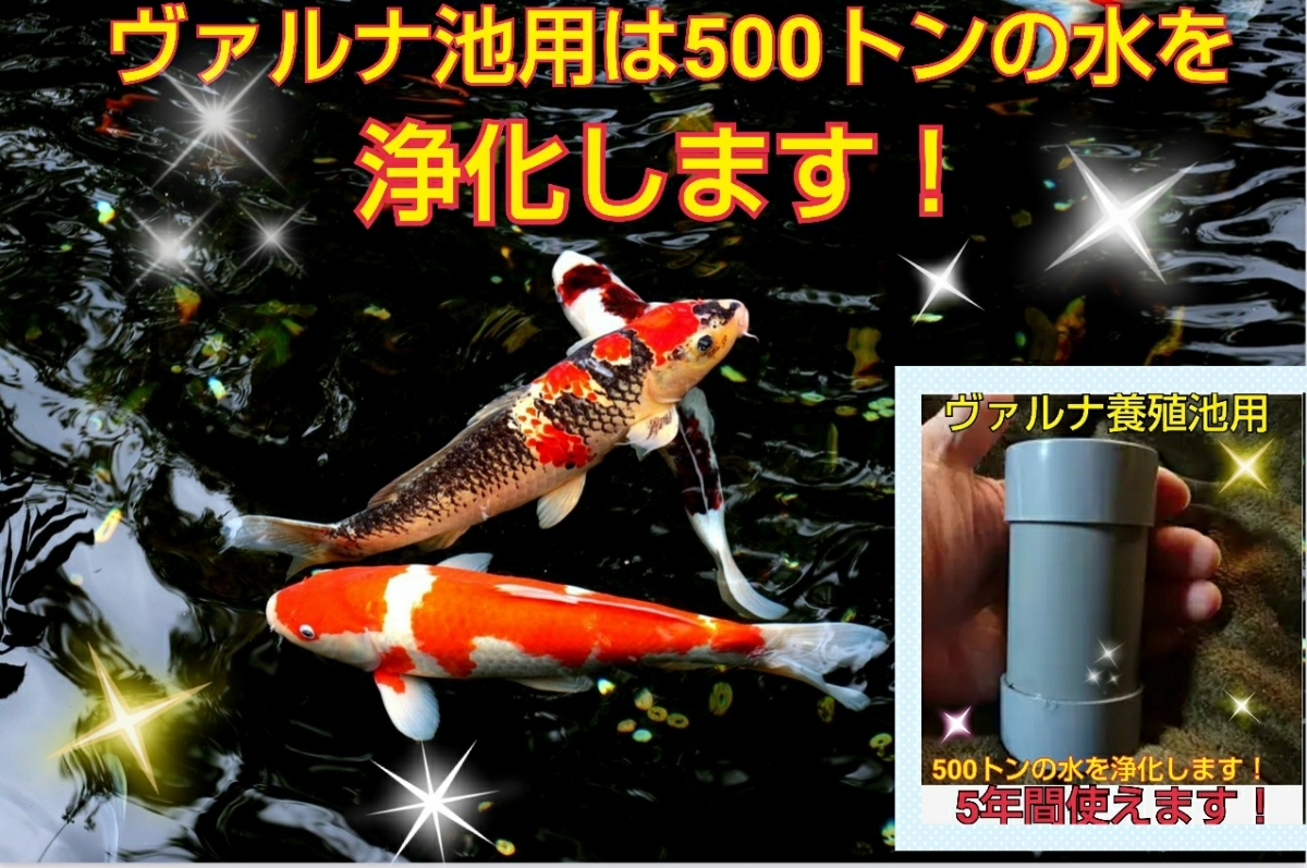 正規販売店☆説明書付き!池の水が綺麗に【ヴァルナ☆養殖池用 正規販売店☆説明書付き!池の水が綺麗に【ヴァルナ☆養殖池用