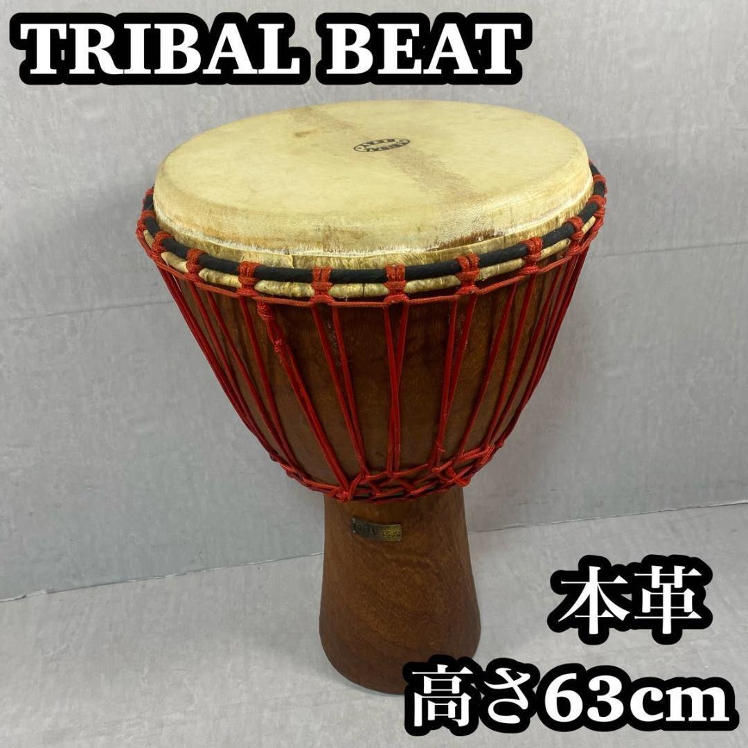 TRIBALBEAT トライバルビート ジャンベ 本革 フルサイズ 打楽器 トライバルビート TRIBAL BEAT ジャンベ 12