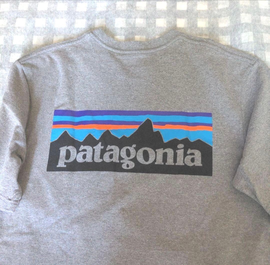 パタゴニア Tシャツ　2枚セット