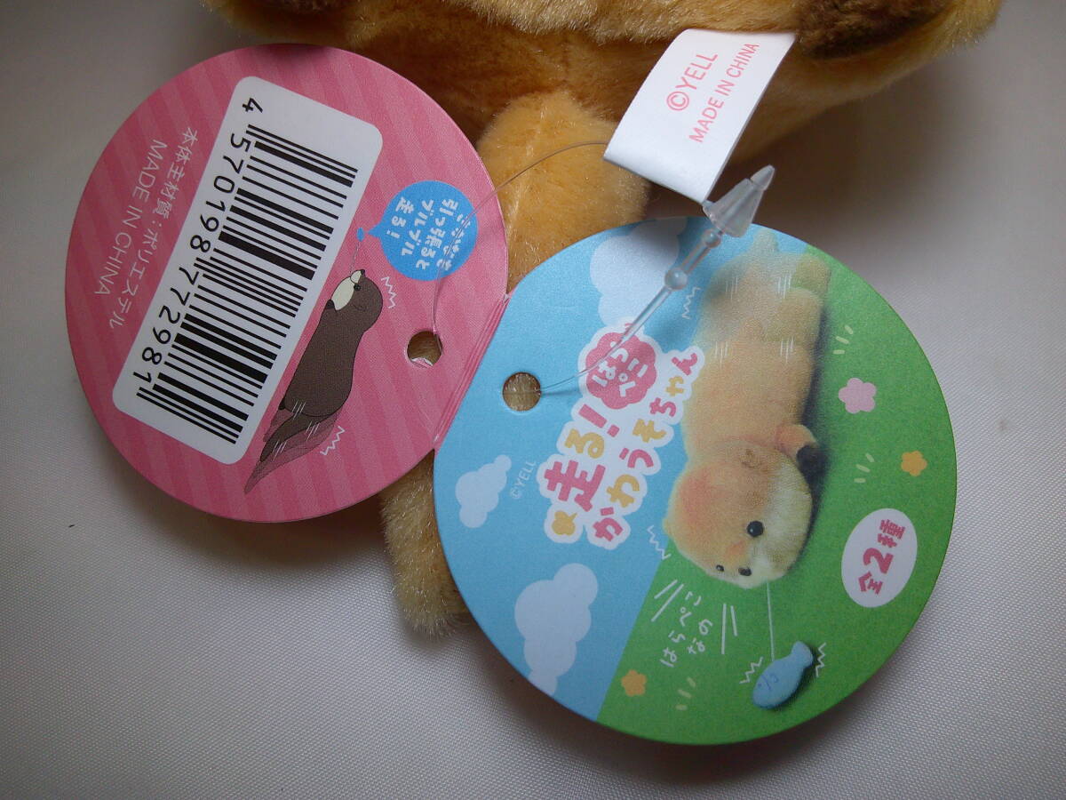 item_image_8
