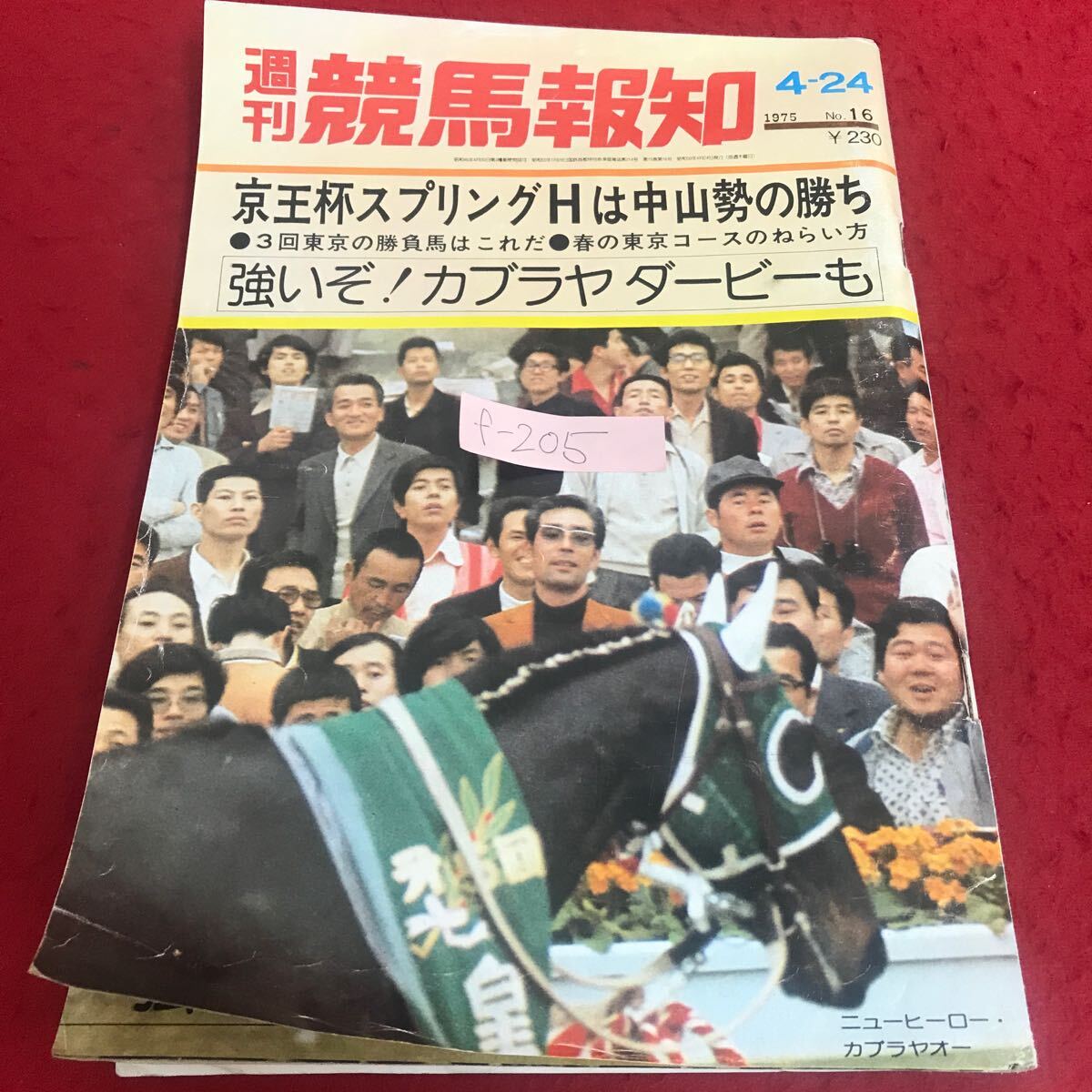 超特価SALE開催! △北ぐにの競馬 創立三十周年記念誌 競馬 - 札幌競馬場馬主協会 競馬