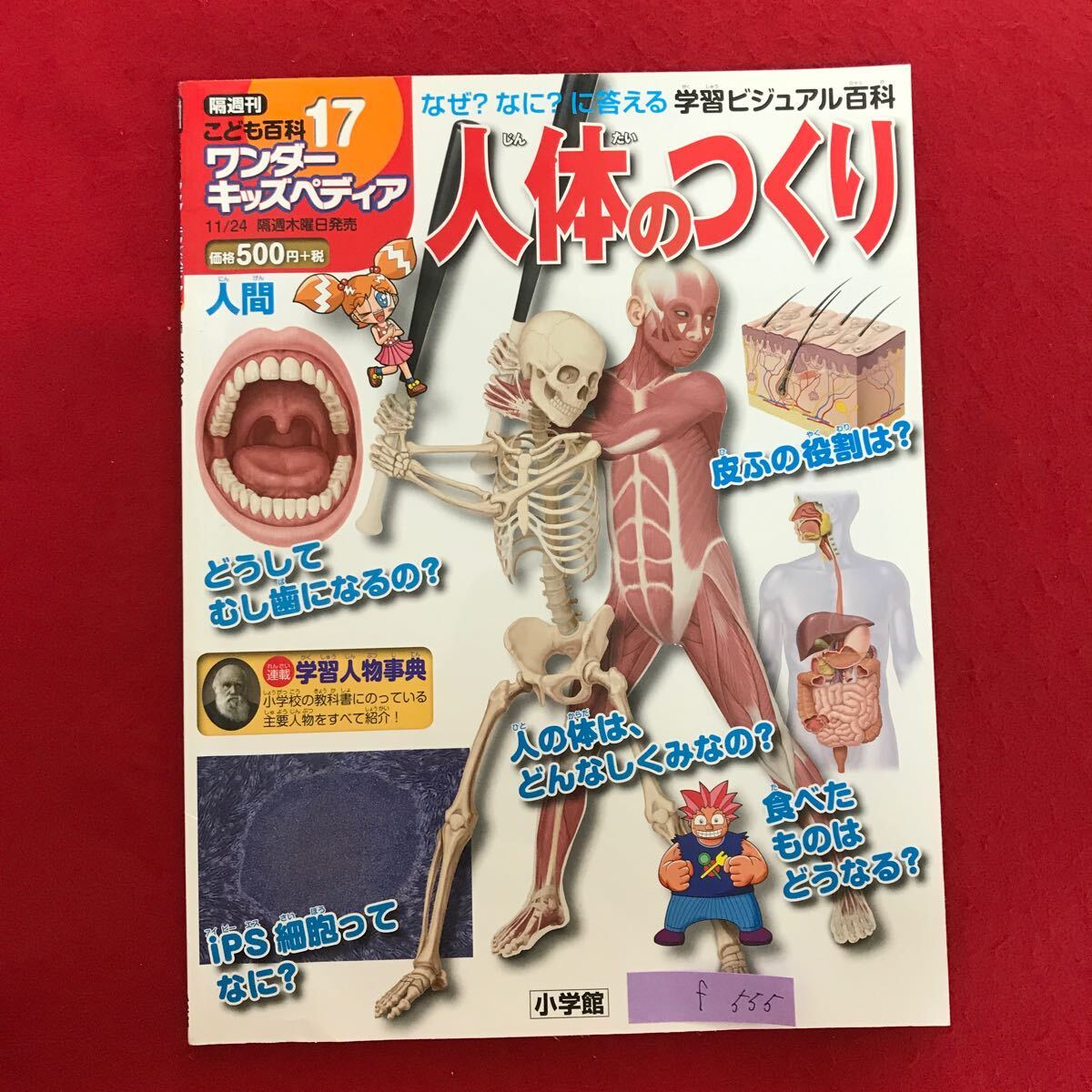 f-555 ※9/ なぜ?なに?に答える 学習ビュジュアル百科 人体のつくり どうしえむし歯になるの? 皮ふの役割は? 2016年11月10日発行
