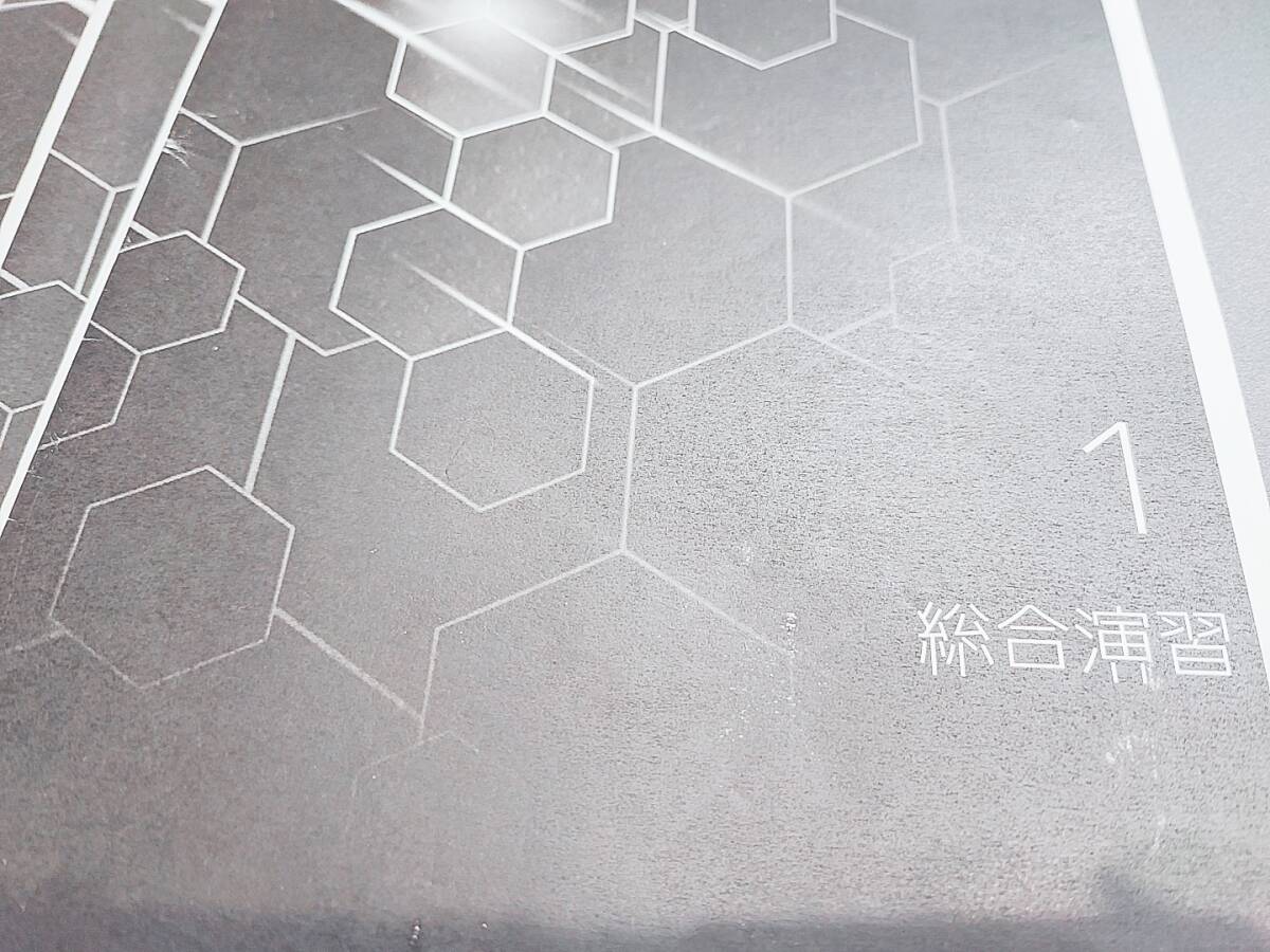 鉄緑会 22年度最新版 江崎先生 高3理系数学 入試数学演習 冊子 鉄緑会 22年度最新版 江崎先生 高3理系数学 入試数学演習 冊子