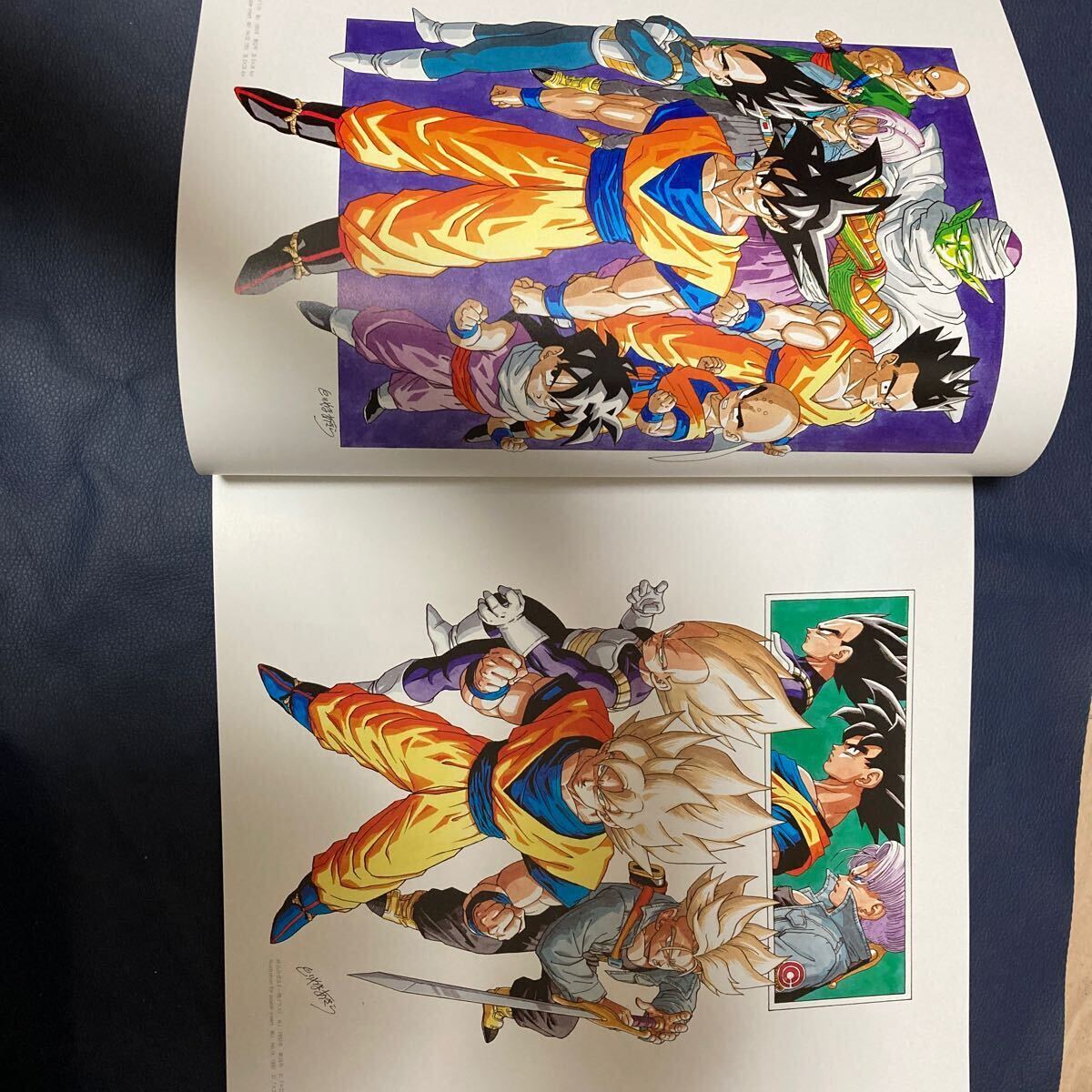 鳥山明の世界 画集 ドラゴンボール Dr.スランプ|少年漫画 鳥山明の世界 画集 ドラゴンボール Dr.スランプ|少年漫画