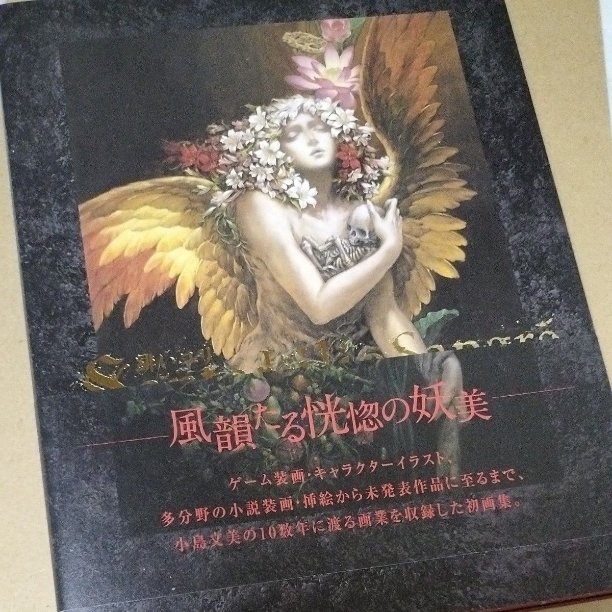 小島文美 画集 緋いユリ(初版/帯あり)|Yahoo!フリマ(旧 小島文美 画集 緋いユリ(初版/帯あり)|Yahoo!フリマ(旧