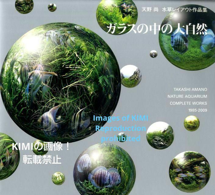 ガラスの中の大自然 天野尚水草レイアウト作品集 1985-2009 大型 ガラスの中の大自然 天野尚水草レイアウト作品集 1985-2009 大型