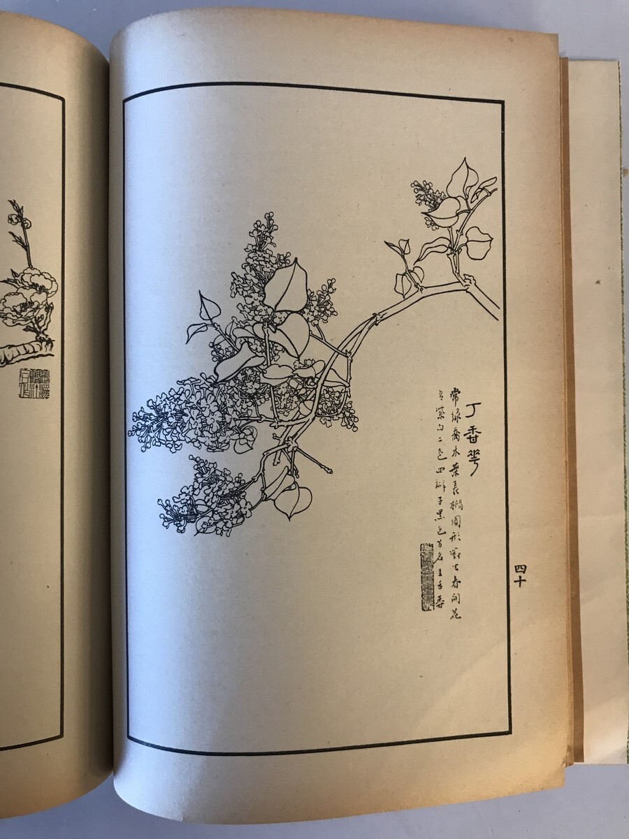10098円 【古本】名家花卉畫譜 Facsimiles of Flower-Paintings 10098円 【古本】名家花卉畫譜 Facsimiles of Flower-Paintings