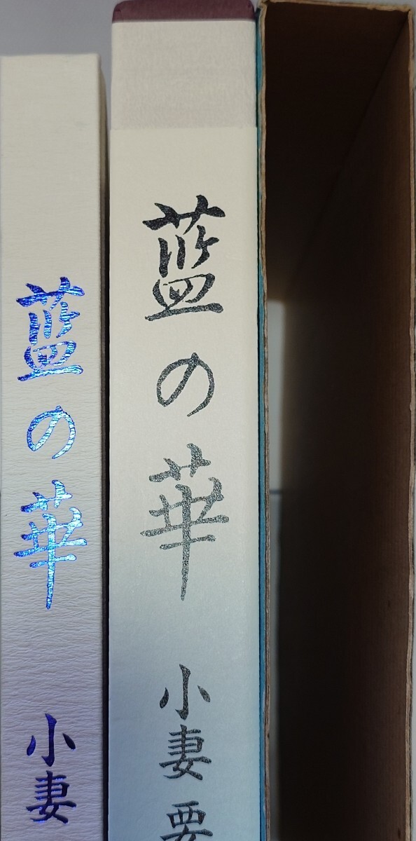 Bibian 比比昂- 藍の華小妻要Ozuma Kaname 刺青美人画帖初版 Bibian 比比昂- 藍の華小妻要Ozuma Kaname 刺青美人画帖初版