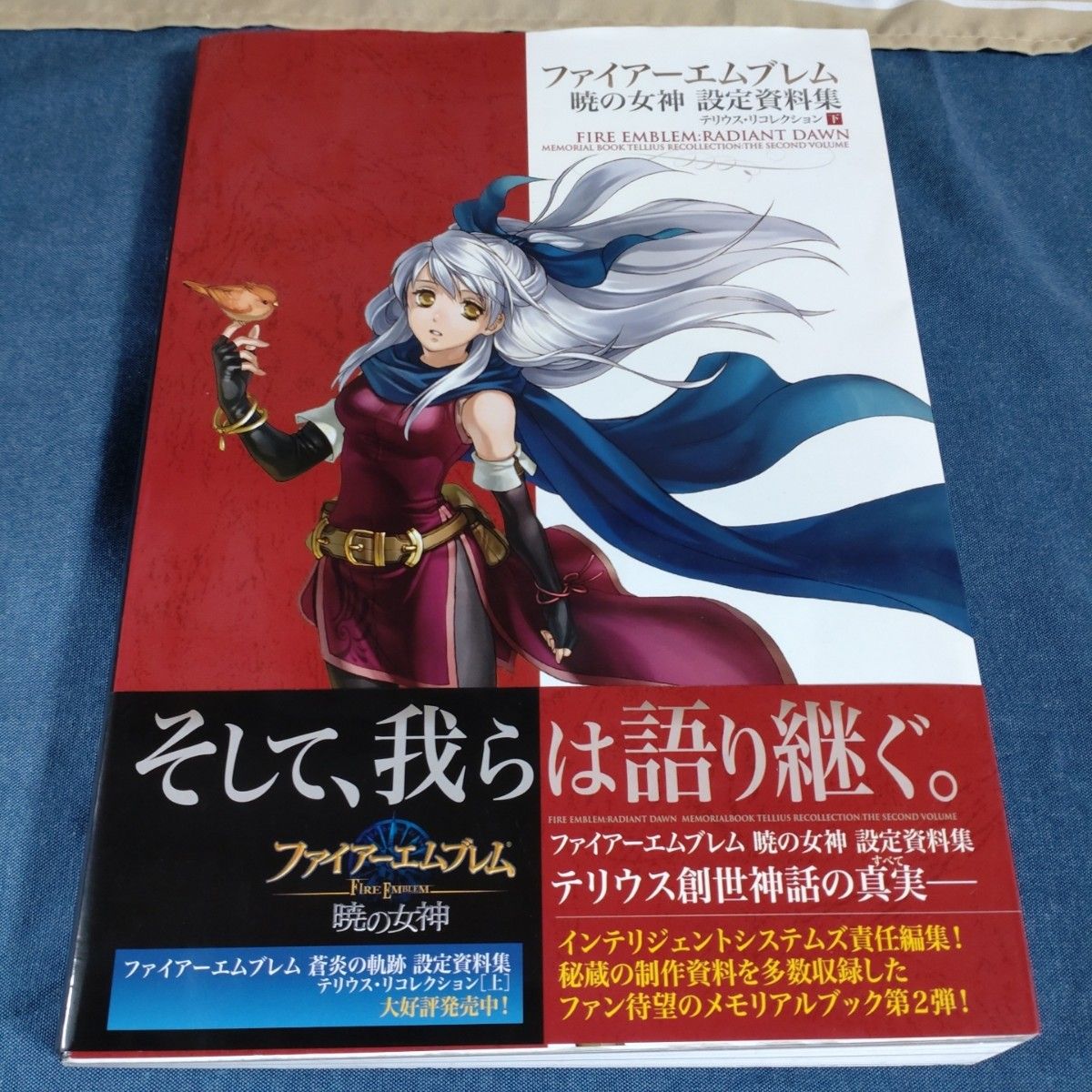 ダメージ品 ファイアーエムブレム 設定資料集 テリウス・リコレクション 上・下2点セットまとめ売り 蒼炎の軌跡 暁 の女神｜Yahoo!フリマ（旧PayPayフリマ）